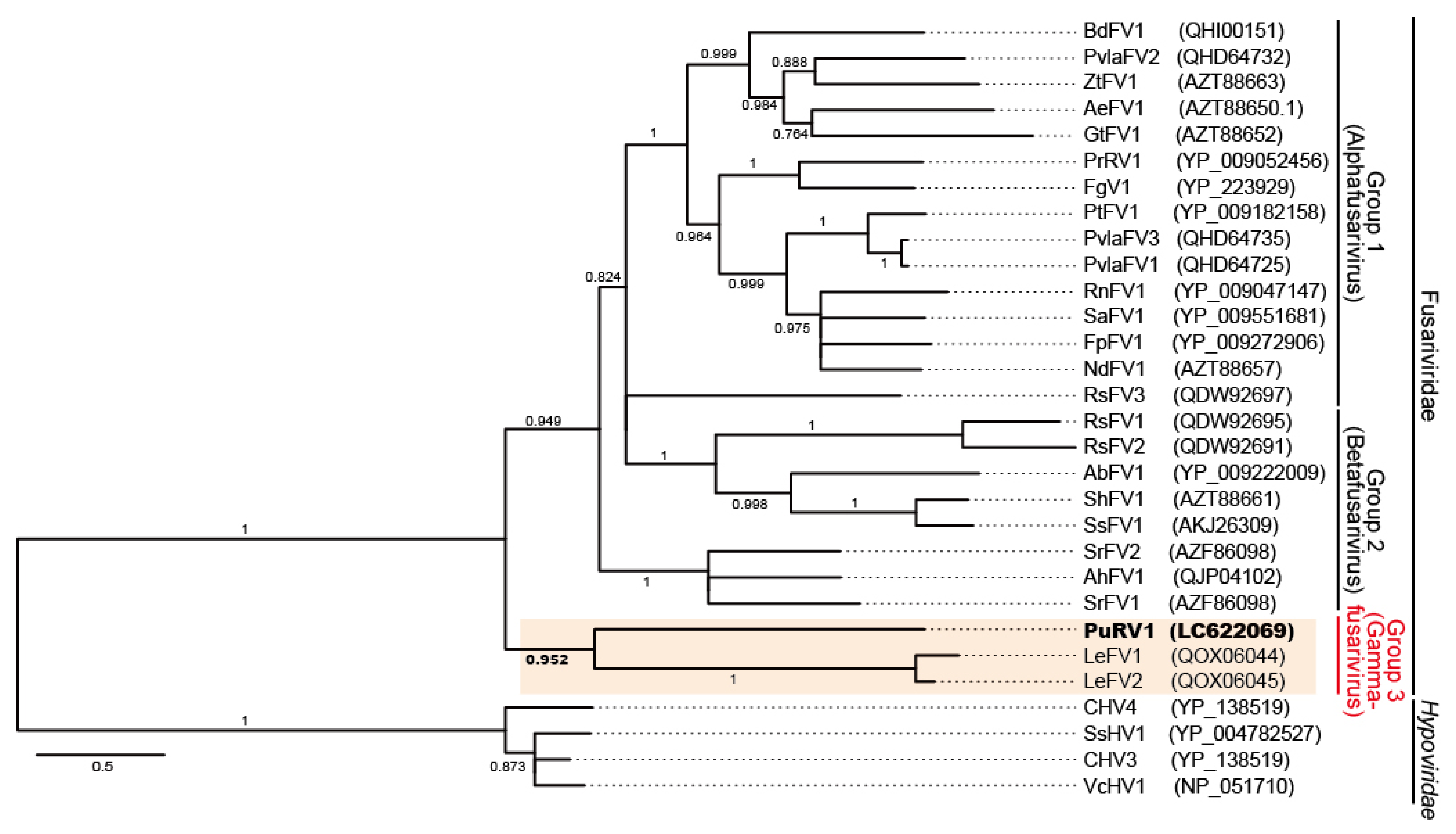 Viruses 13 01931 g003