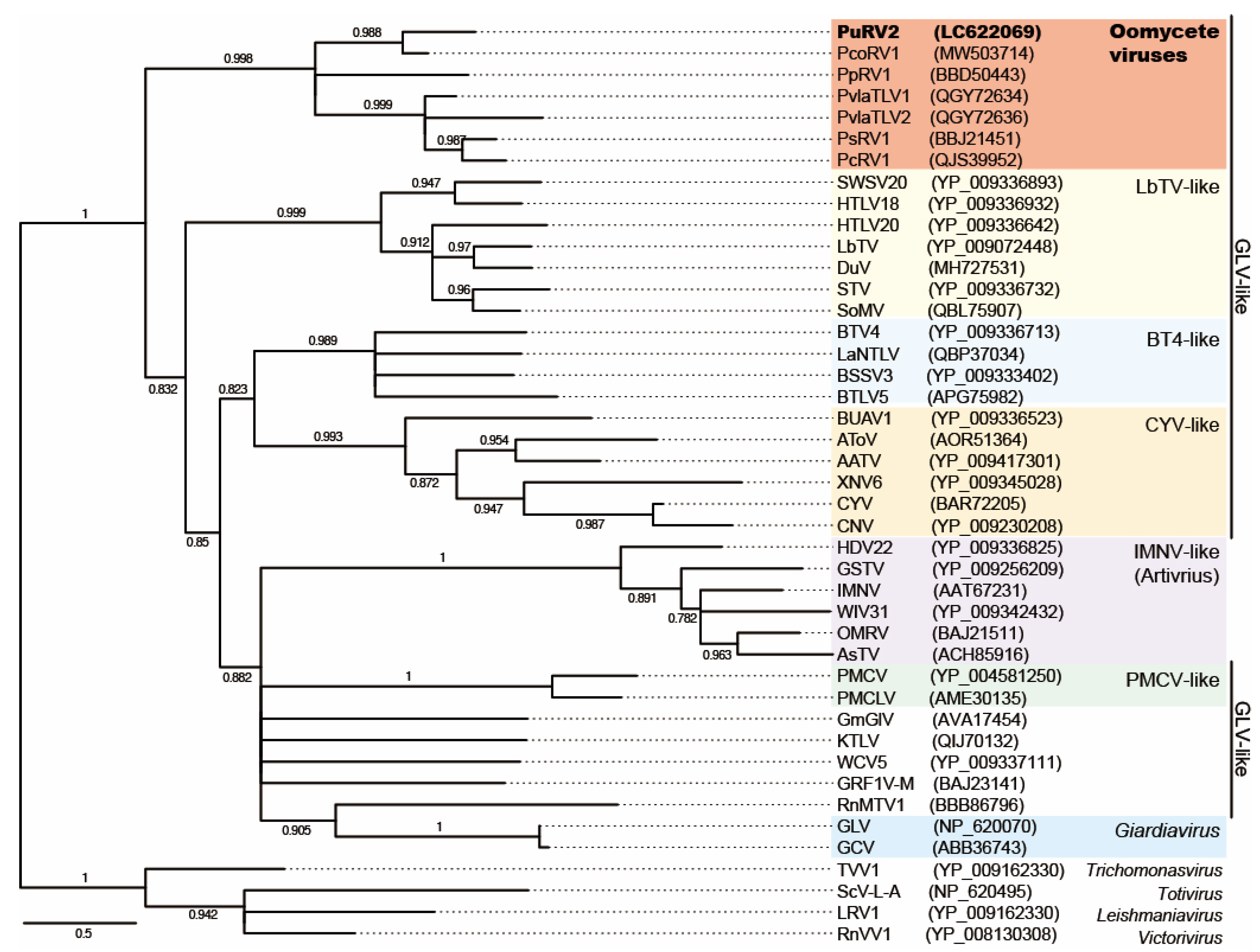 Viruses 13 01931 g005