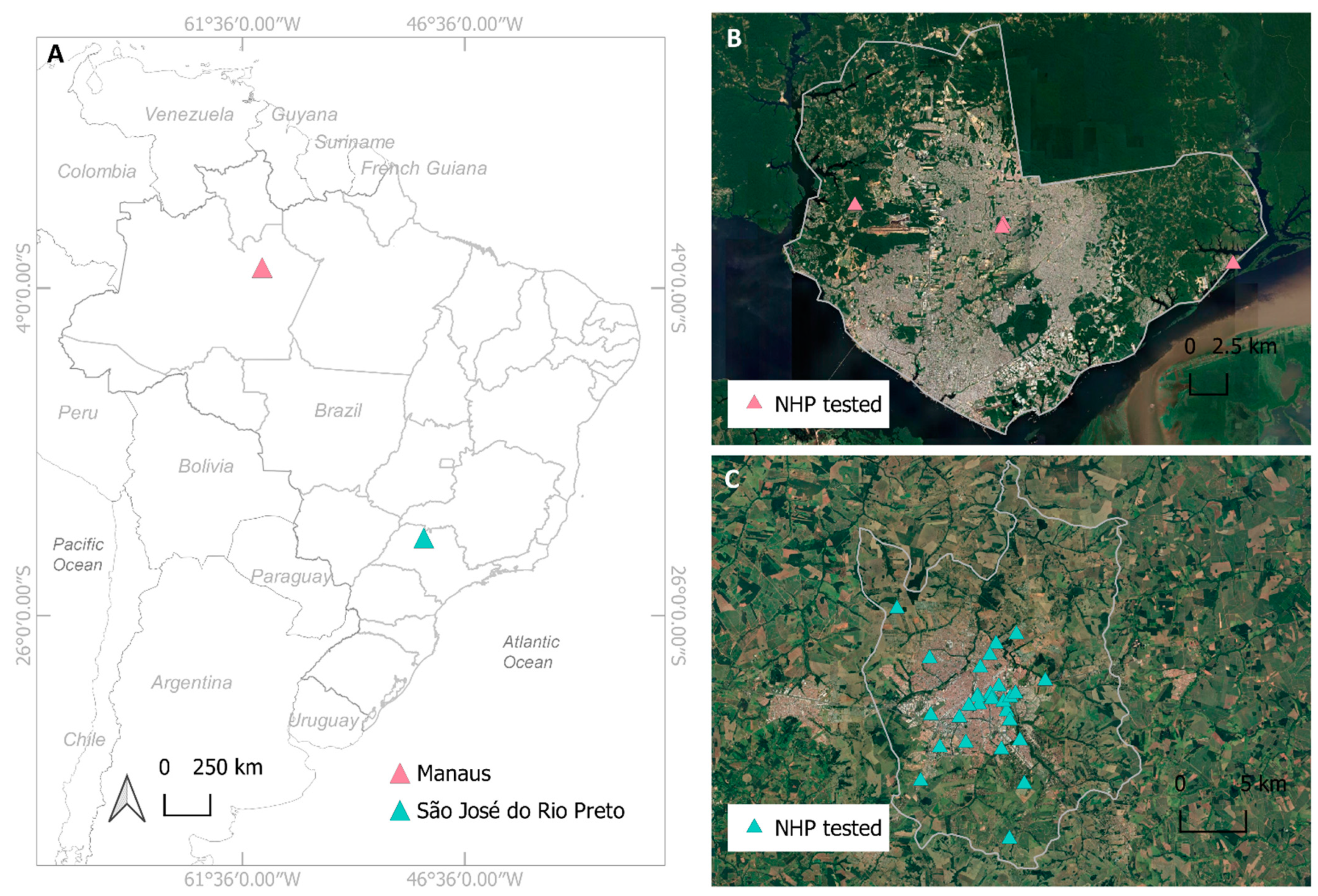 Viruses 13 01933 g001