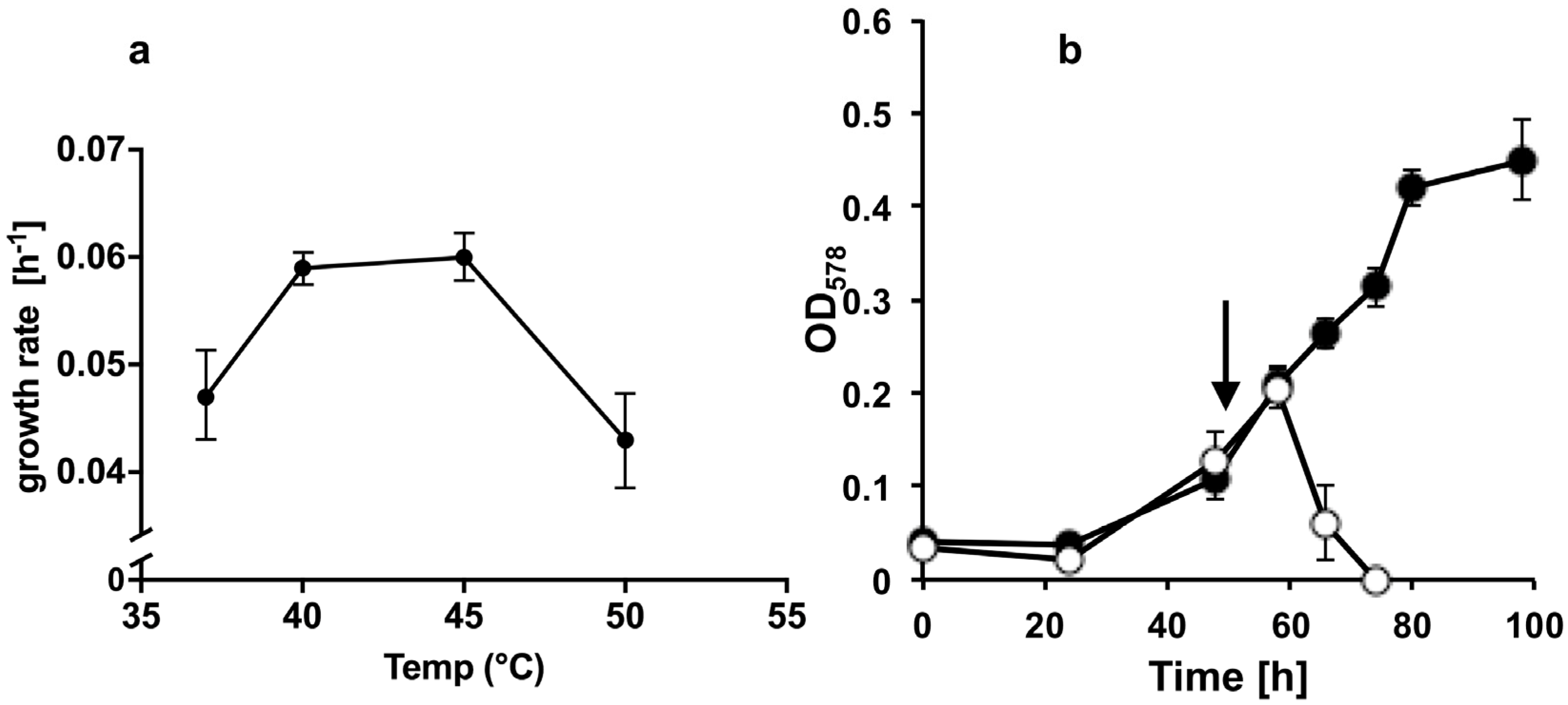 Viruses 13 01934 g002 Viruses 13 01934 g002