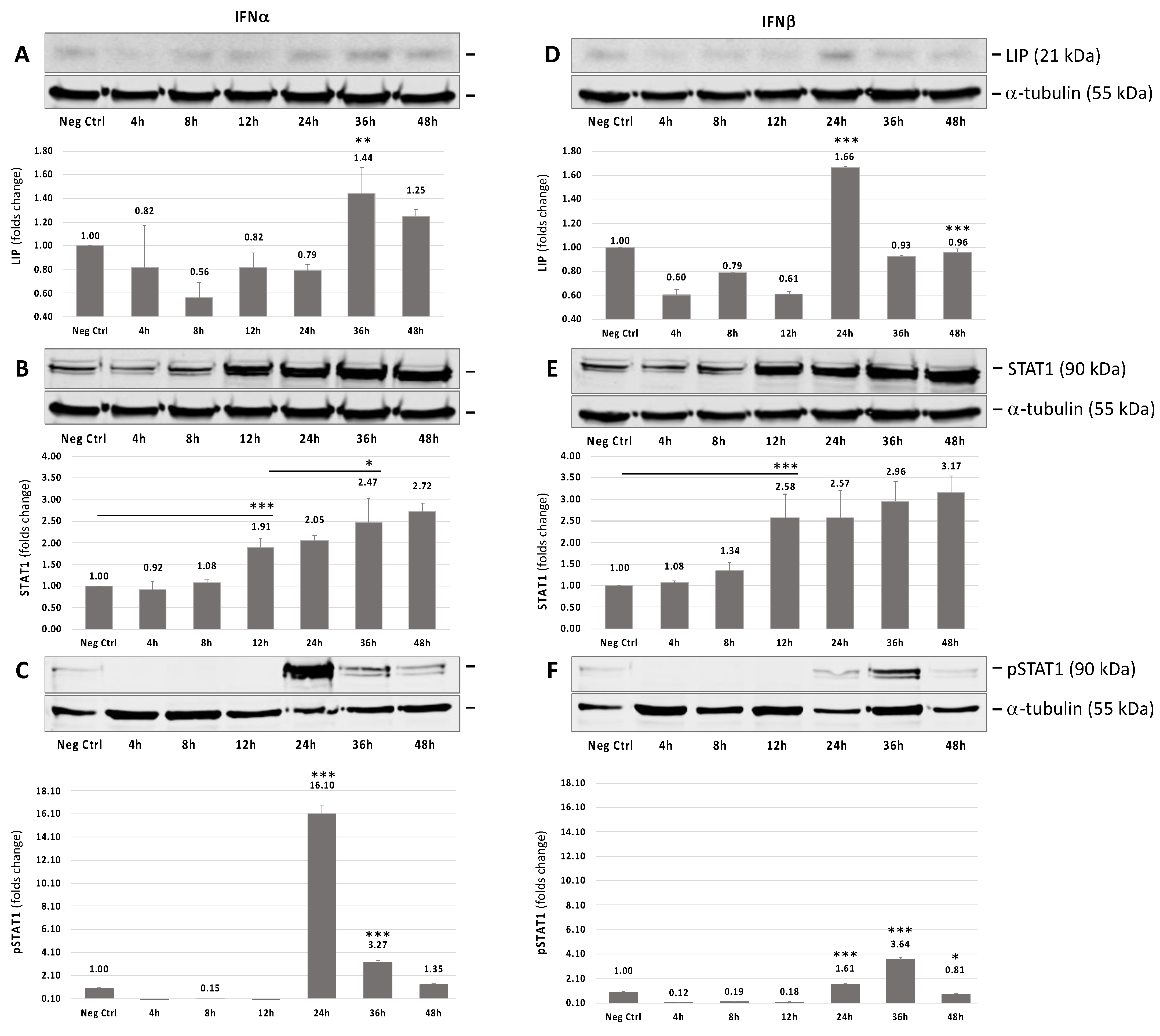 Viruses 13 01937 g001 Viruses 13 01937 g001