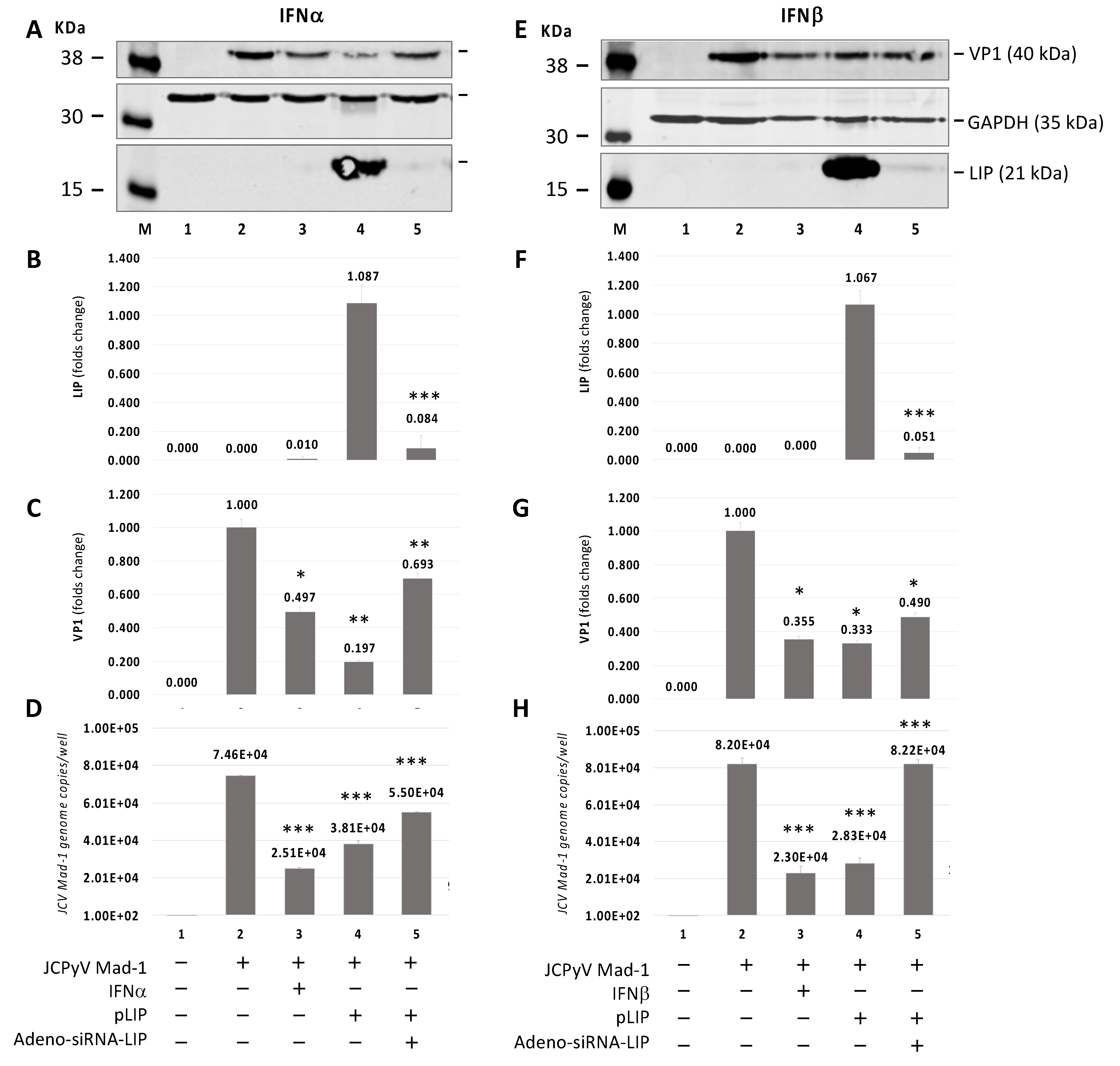 Viruses 13 01937 g004 Viruses 13 01937 g004