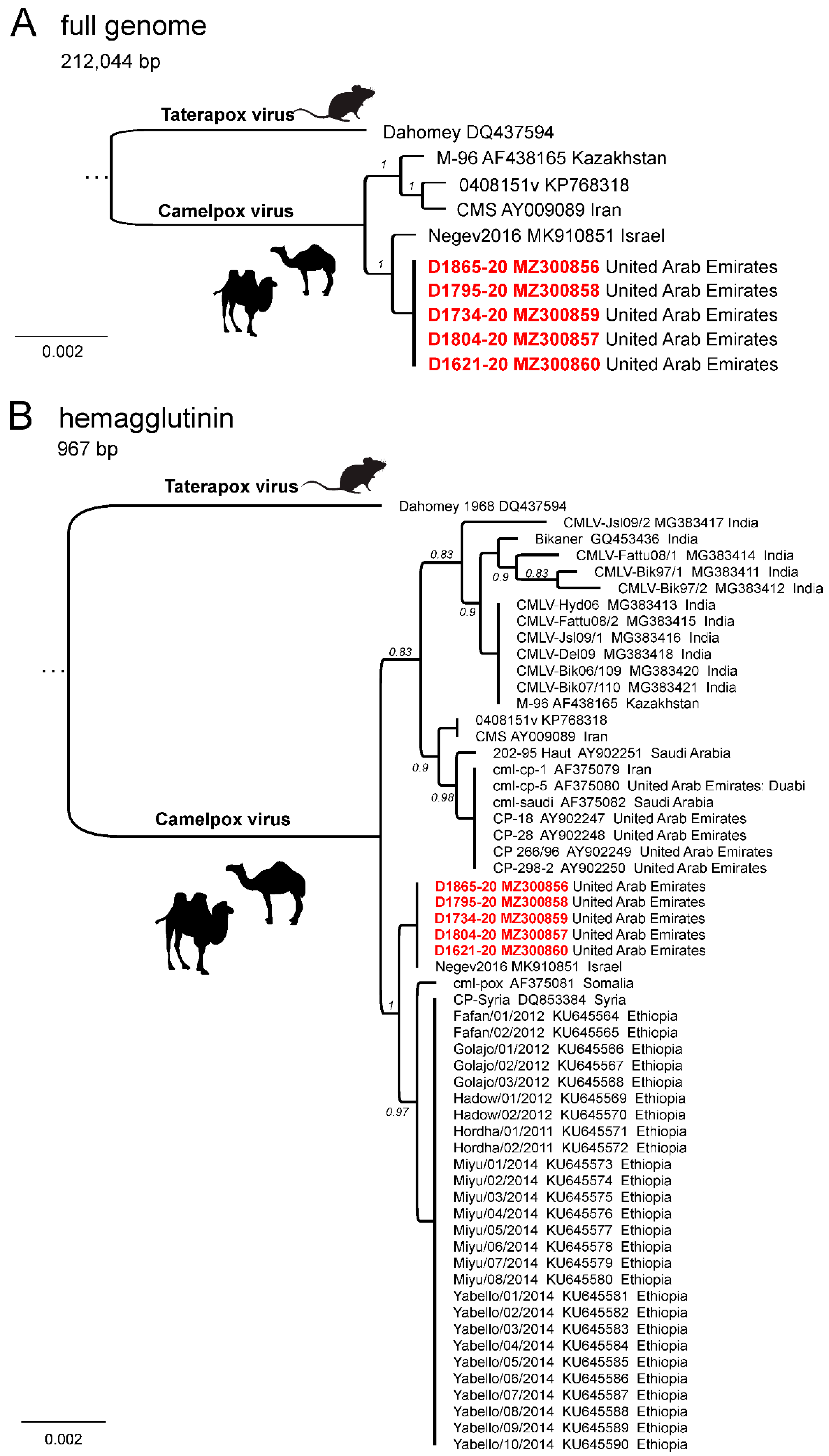 Viruses 13 01940 g004