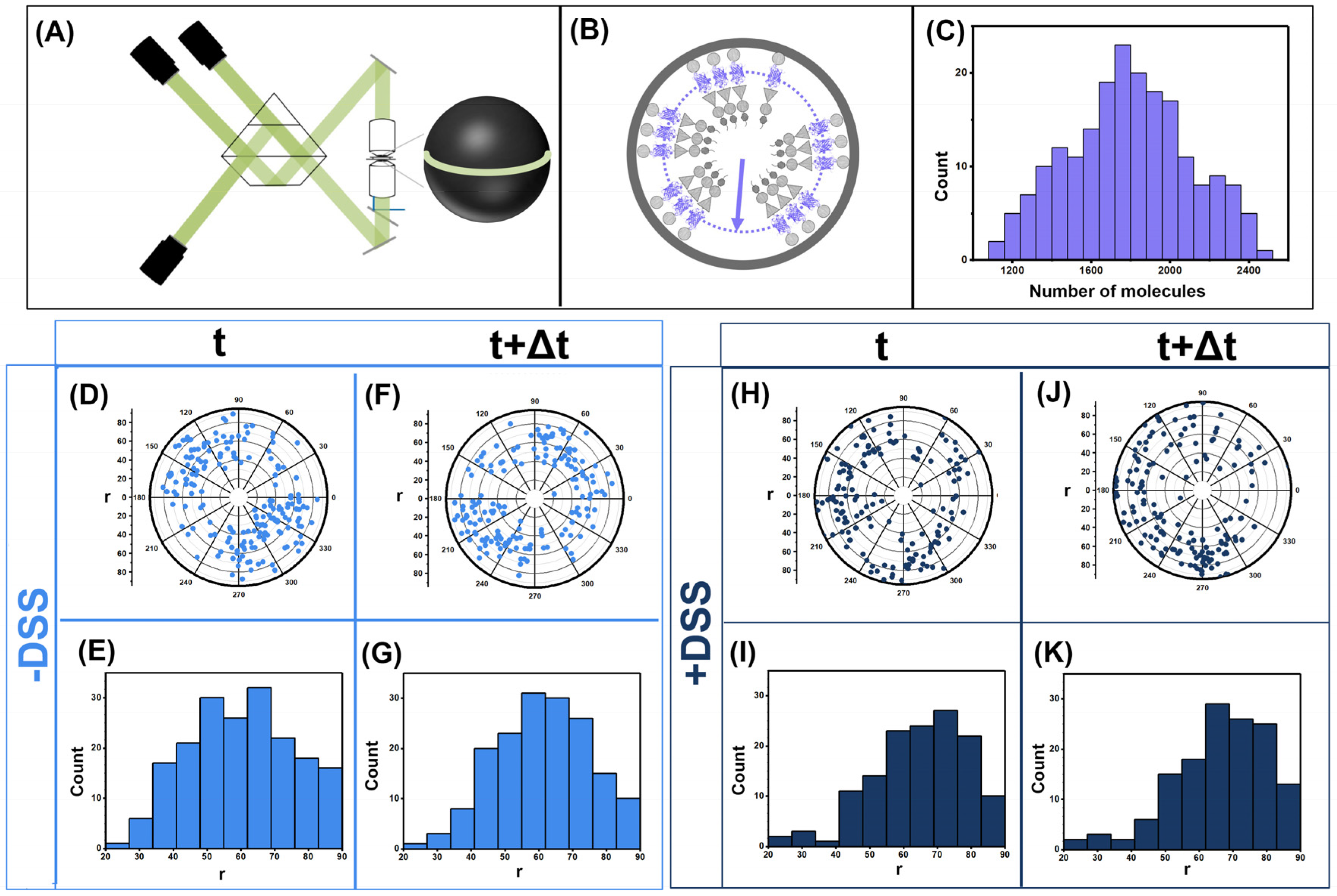 Viruses 13 01946 g001