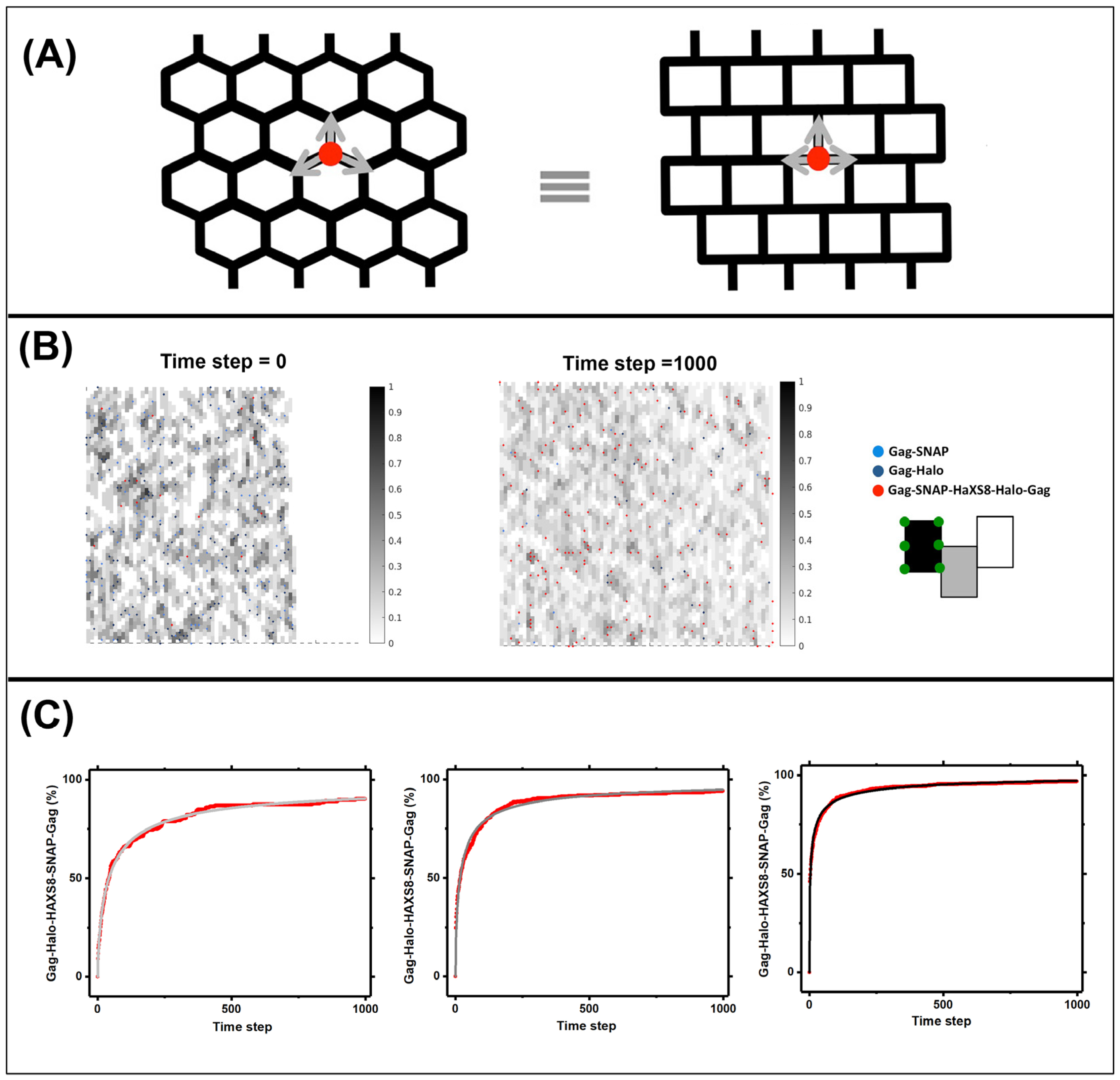 Viruses 13 01946 g003