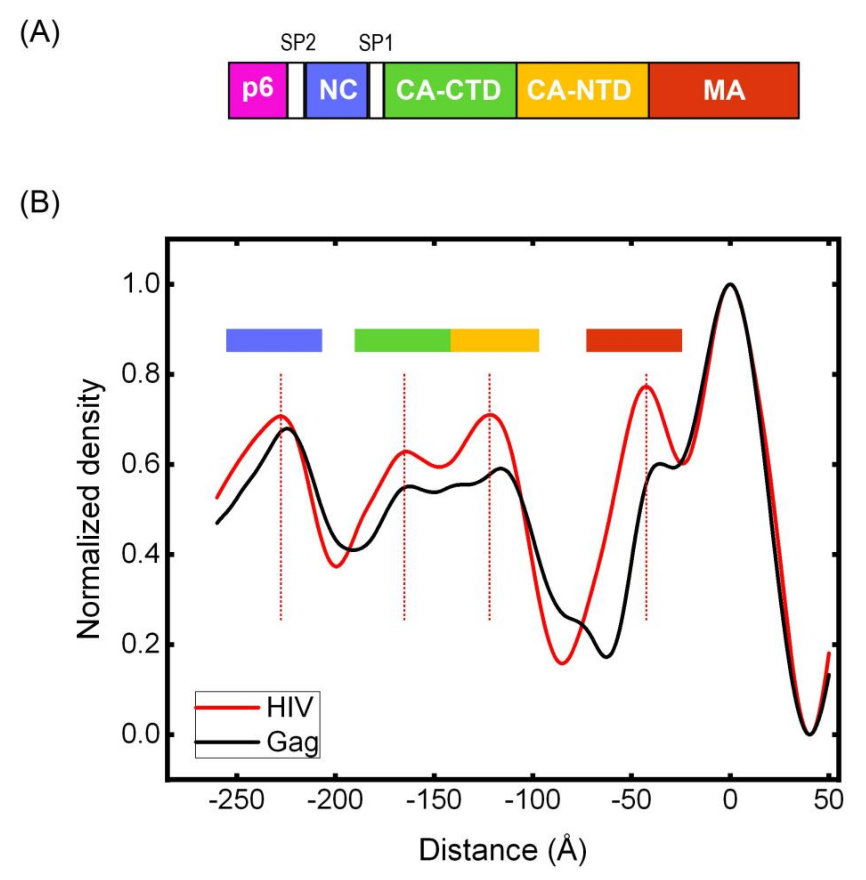 Viruses 13 01946 g007