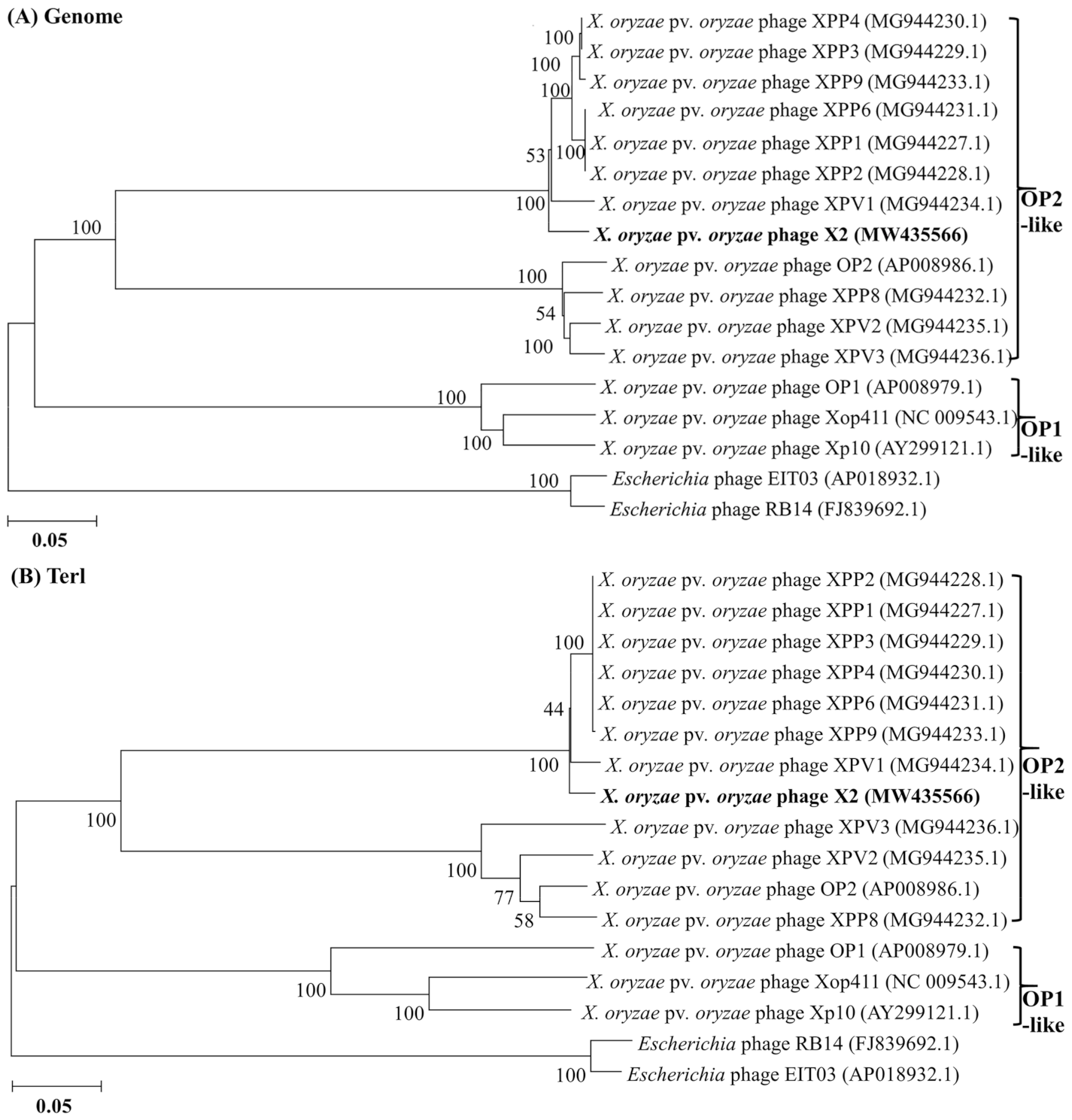 Viruses 13 01949 g002