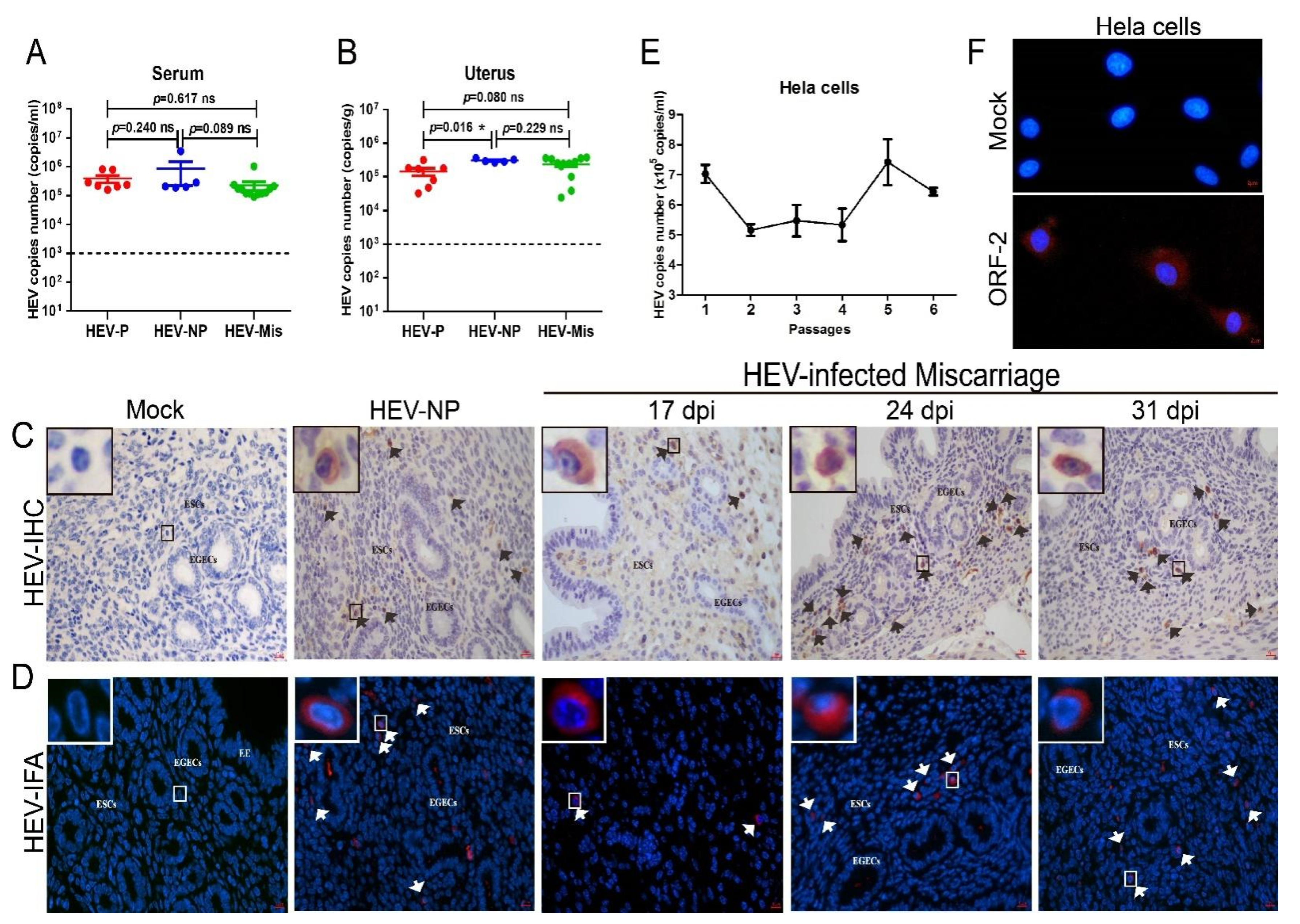 Viruses 13 01950 g002 Viruses 13 01950 g002