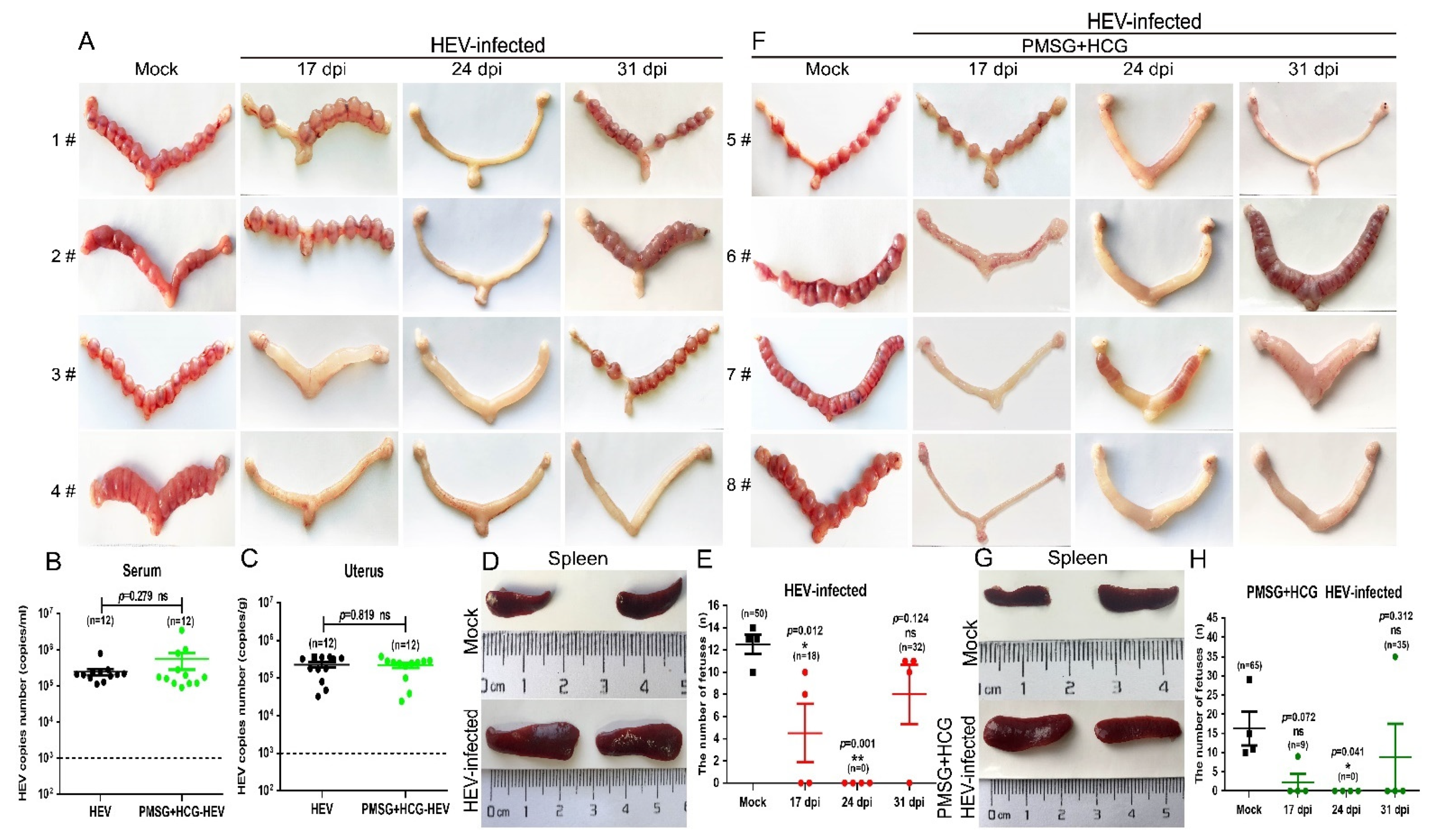 Viruses 13 01950 g003 Viruses 13 01950 g003