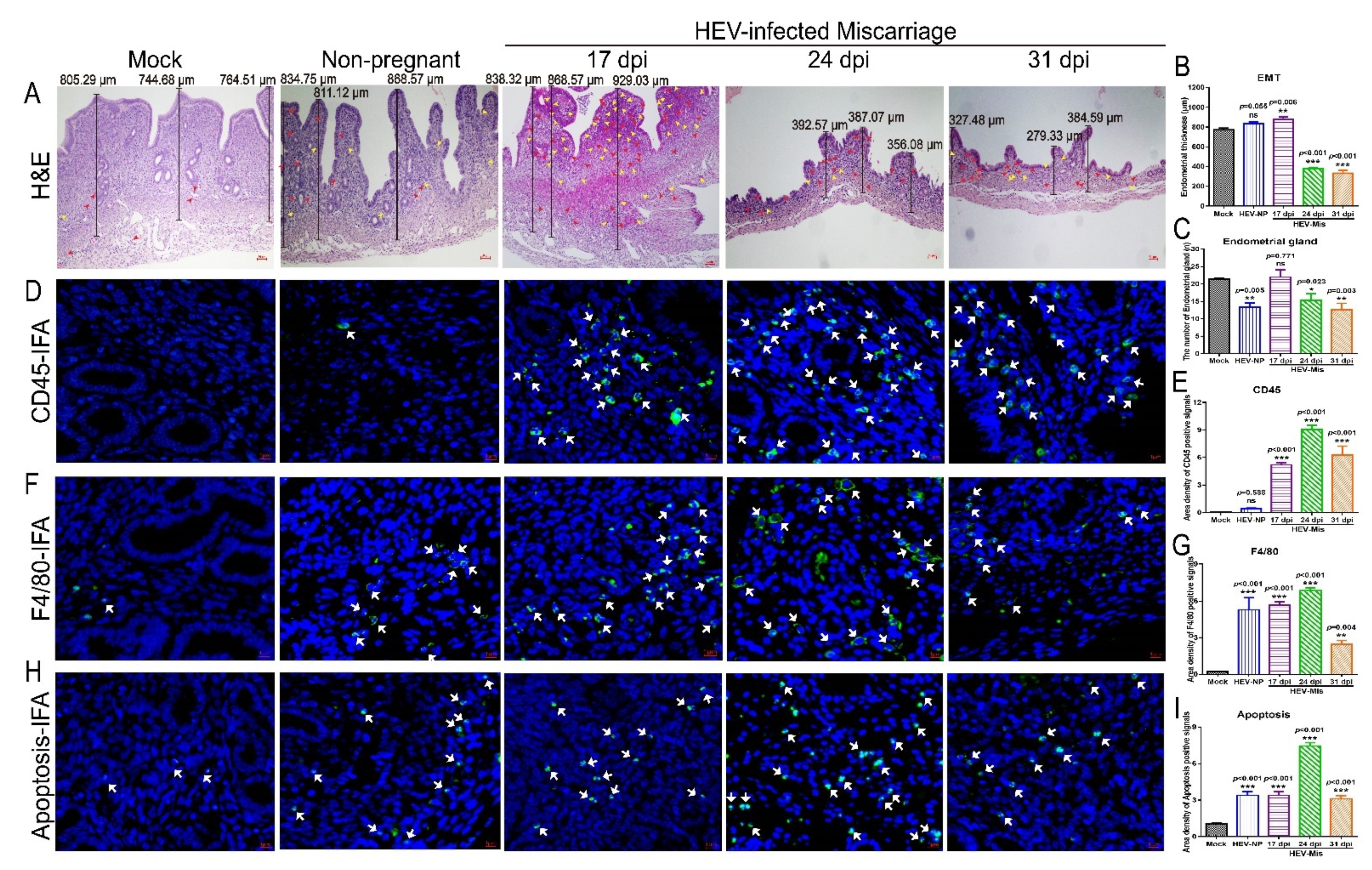 Viruses 13 01950 g004 Viruses 13 01950 g004