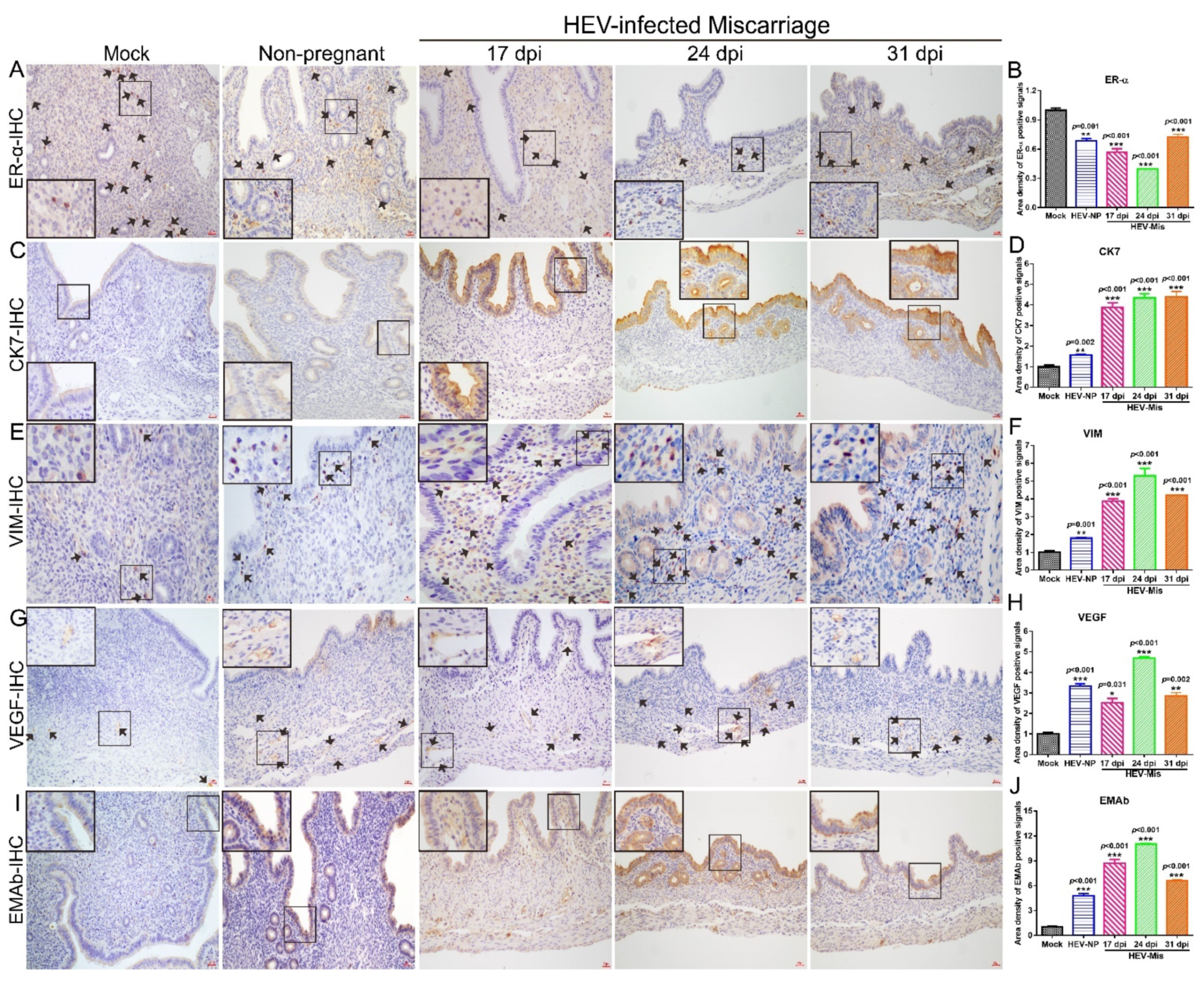 Viruses 13 01950 g005 Viruses 13 01950 g005