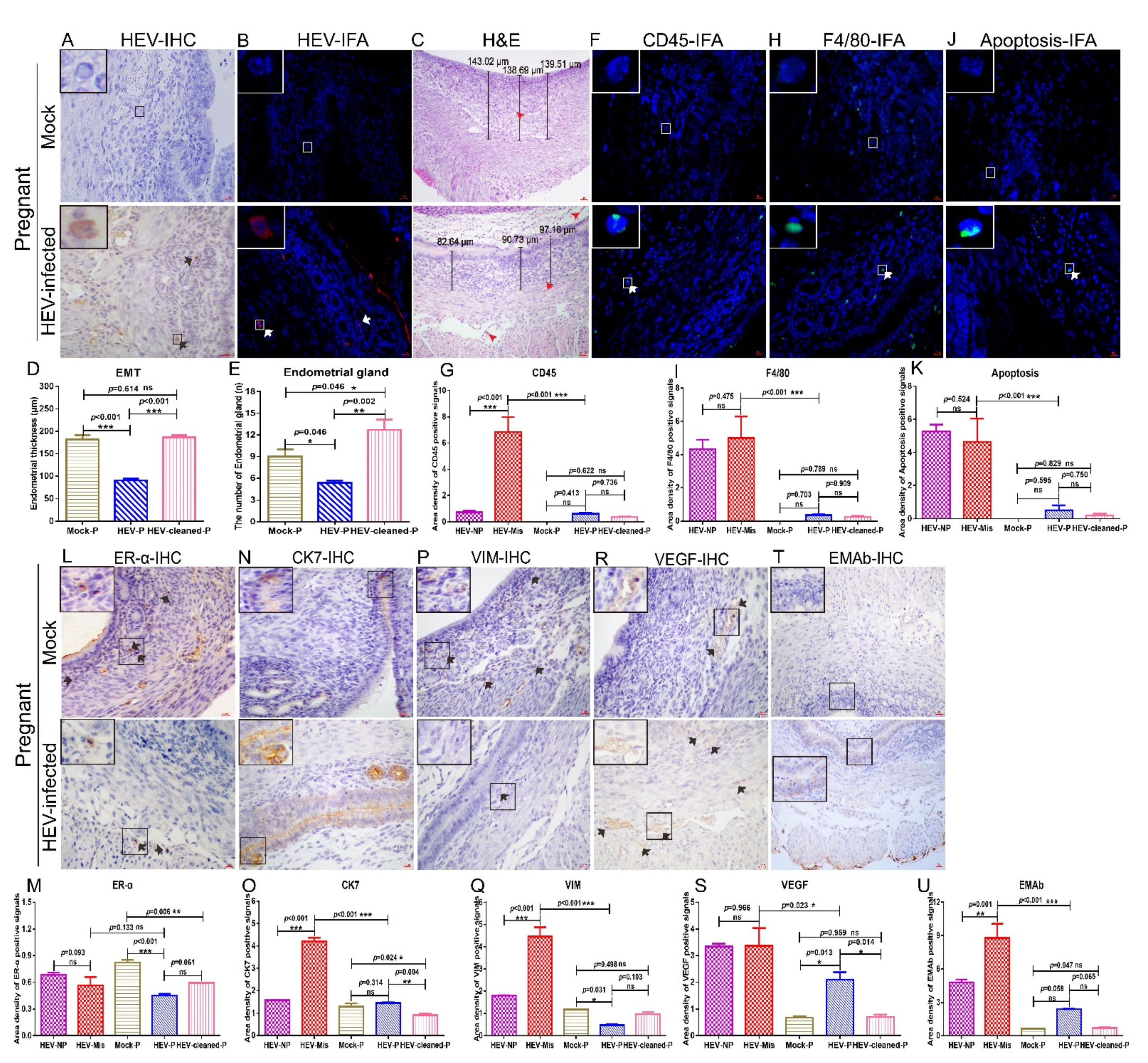 Viruses 13 01950 g006 Viruses 13 01950 g006