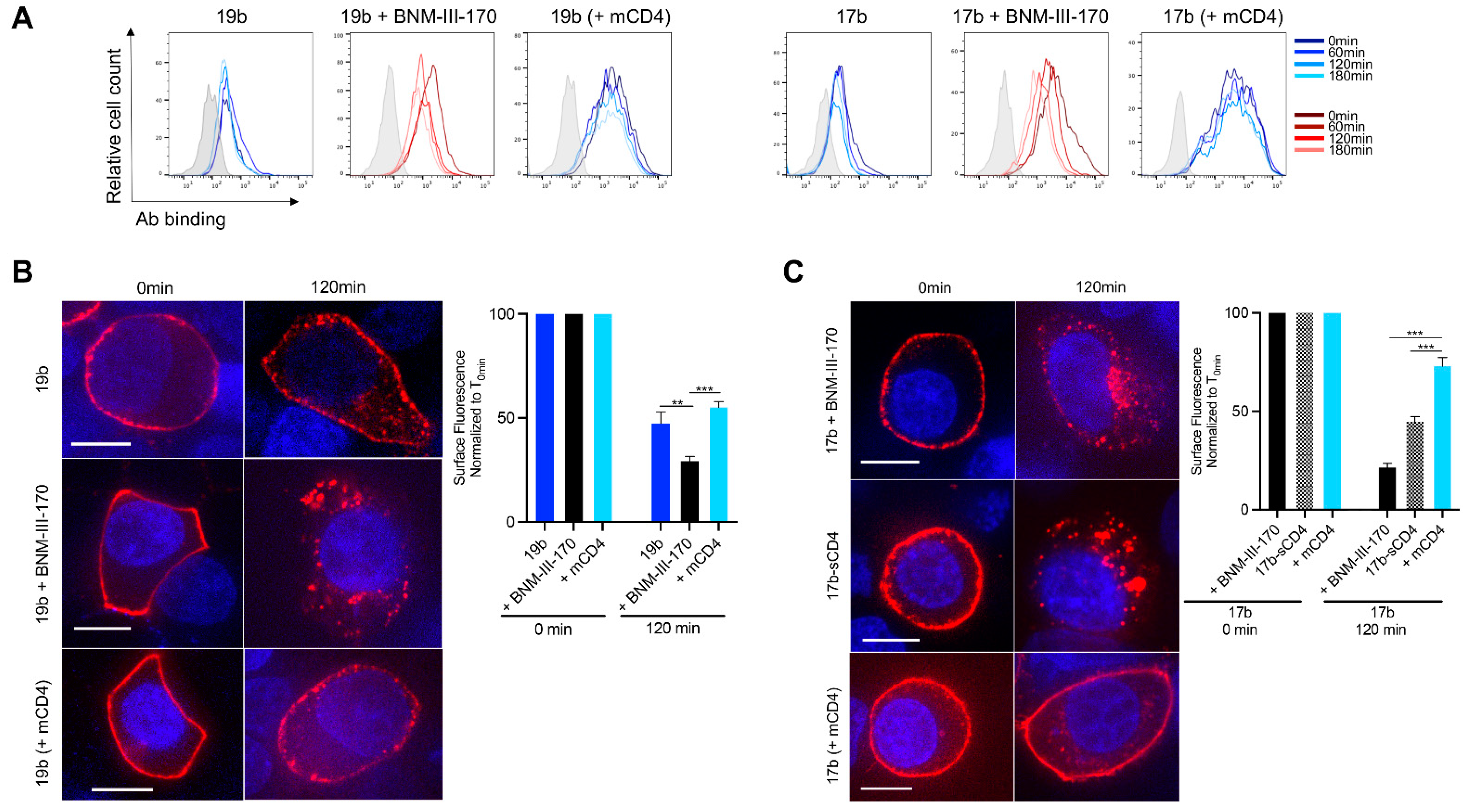 Viruses 13 01953 g002