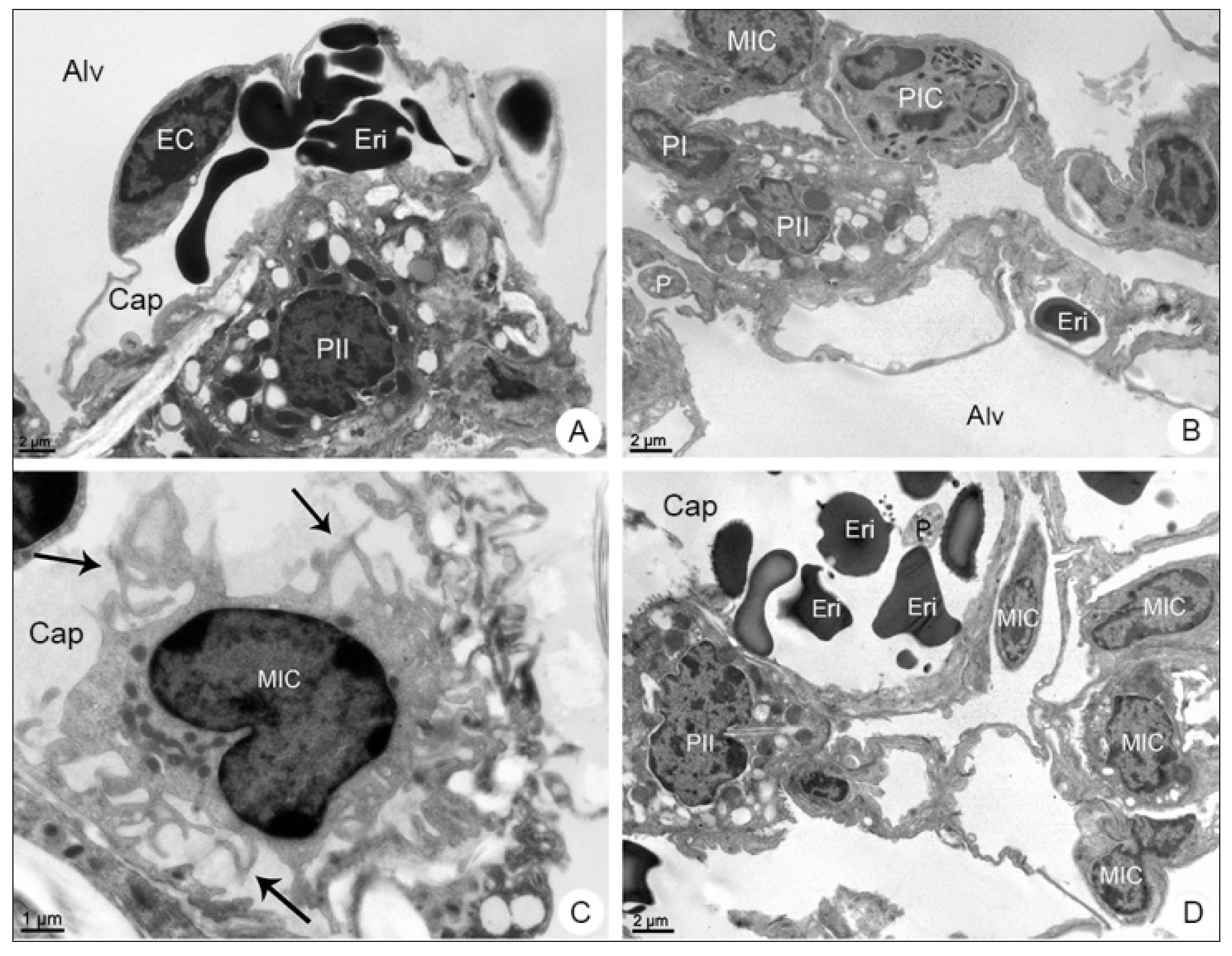 Viruses 13 01954 g005