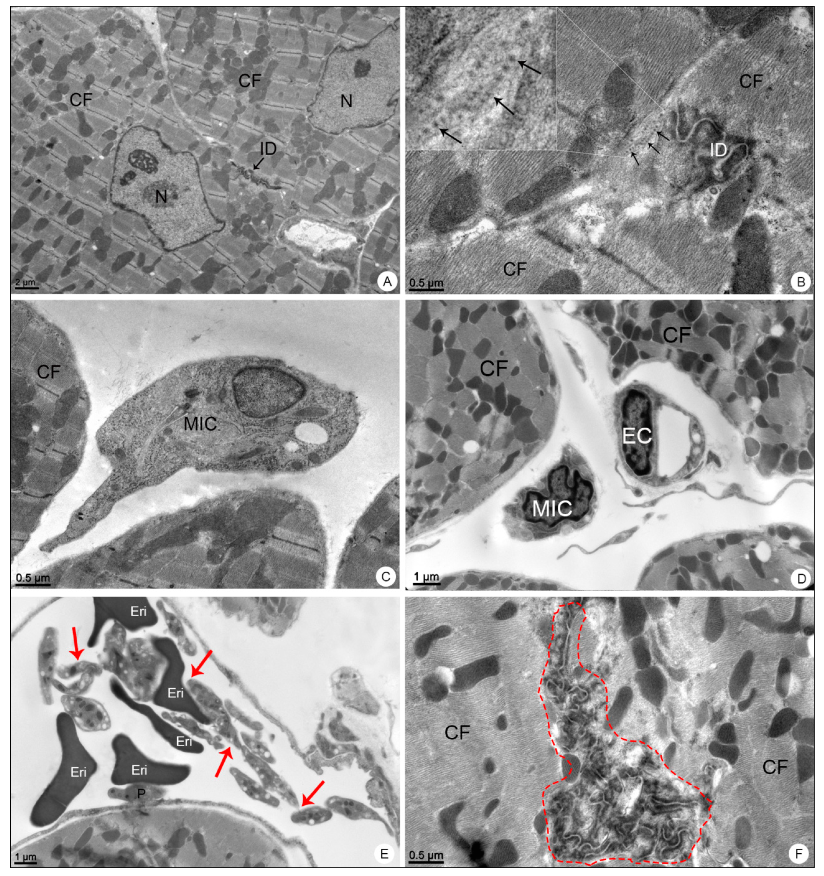 Viruses 13 01954 g007