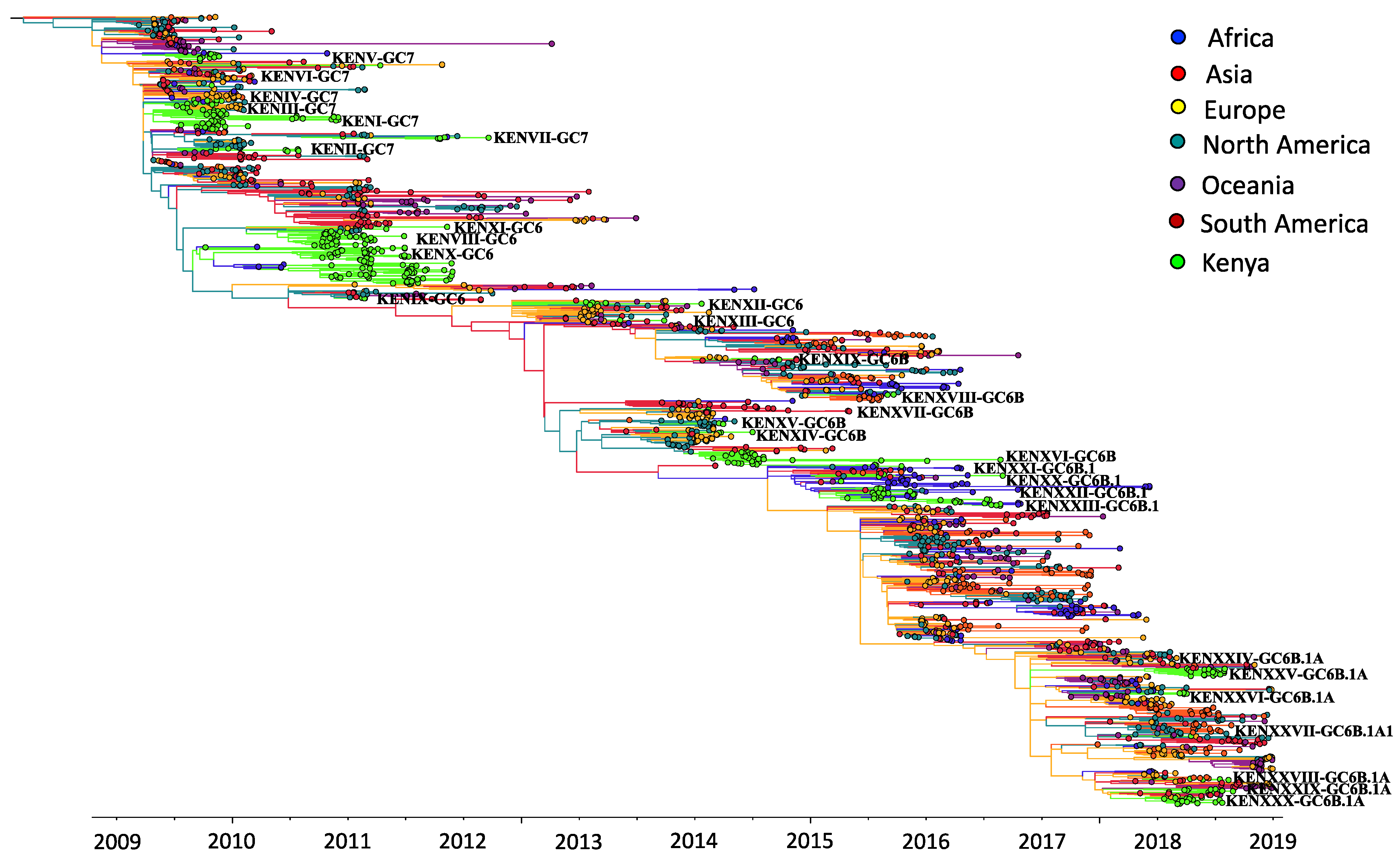 Viruses 13 01956 g003 Viruses 13 01956 g003