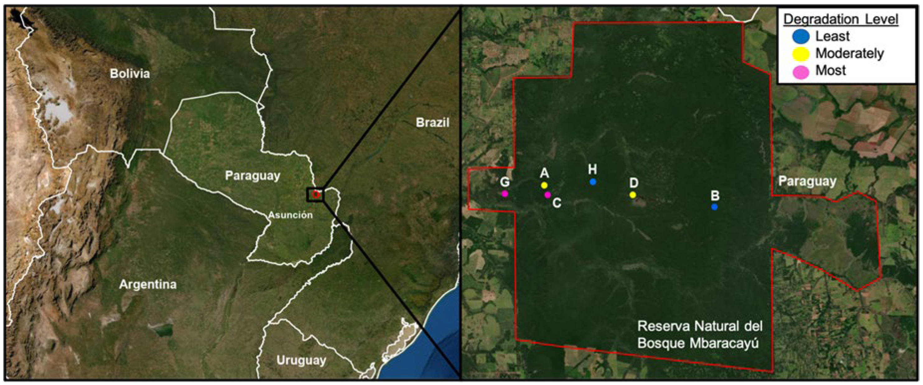 Viruses 13 01963 g001 Viruses 13 01963 g001