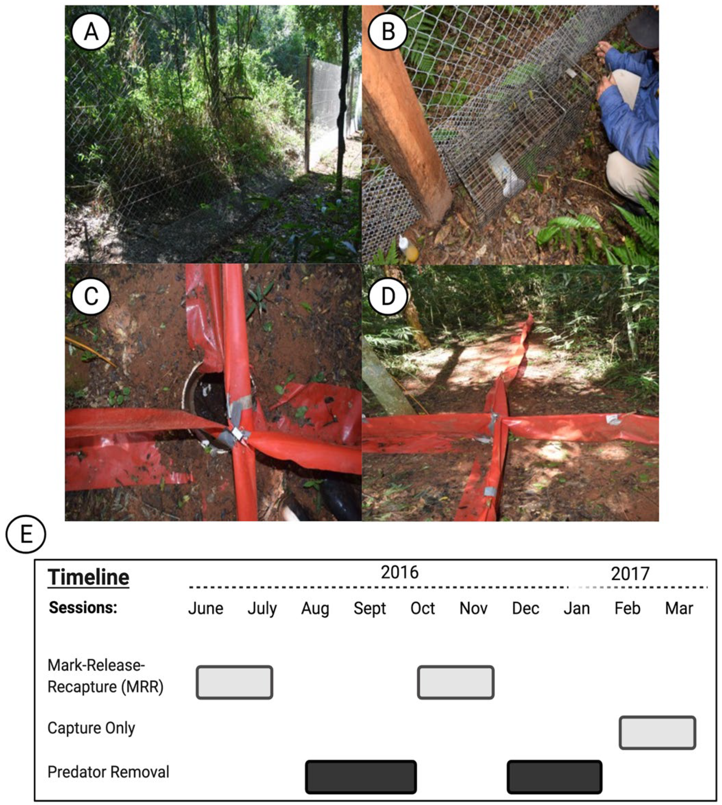 Viruses 13 01963 g002 Viruses 13 01963 g002