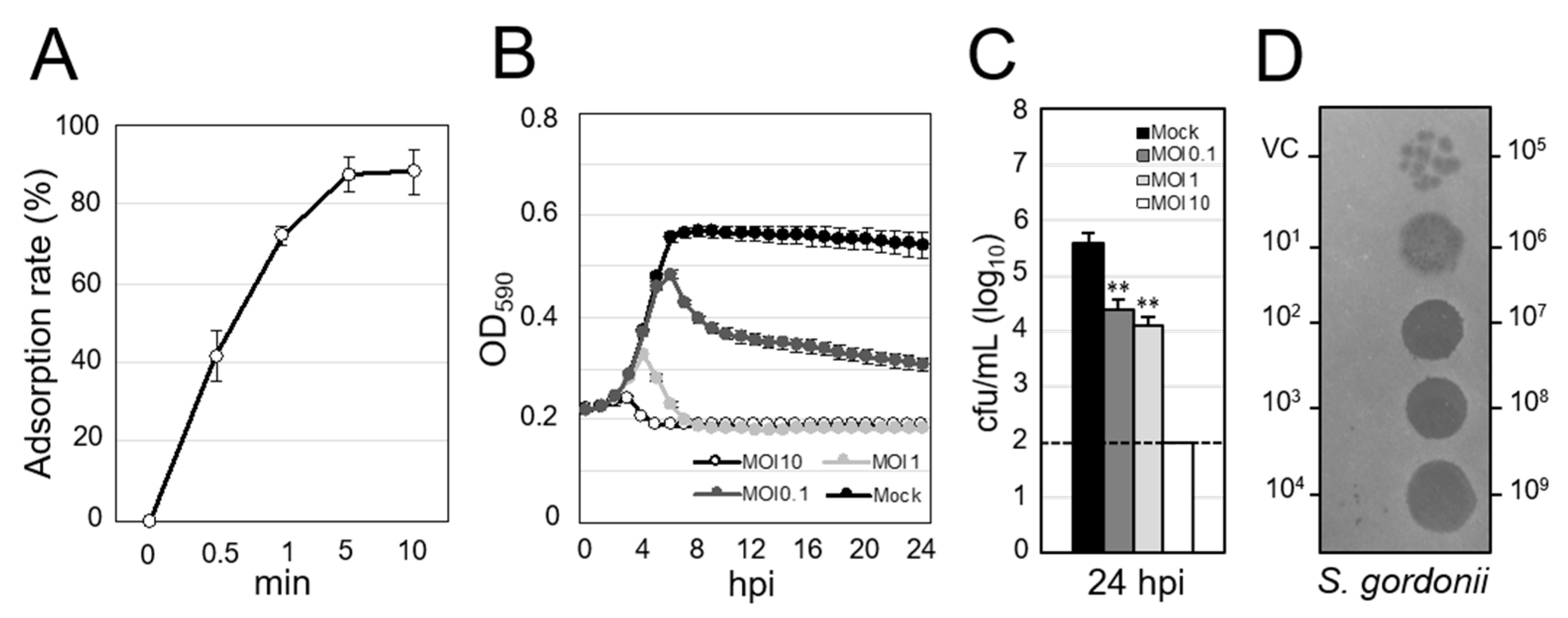 Viruses 13 01964 g002