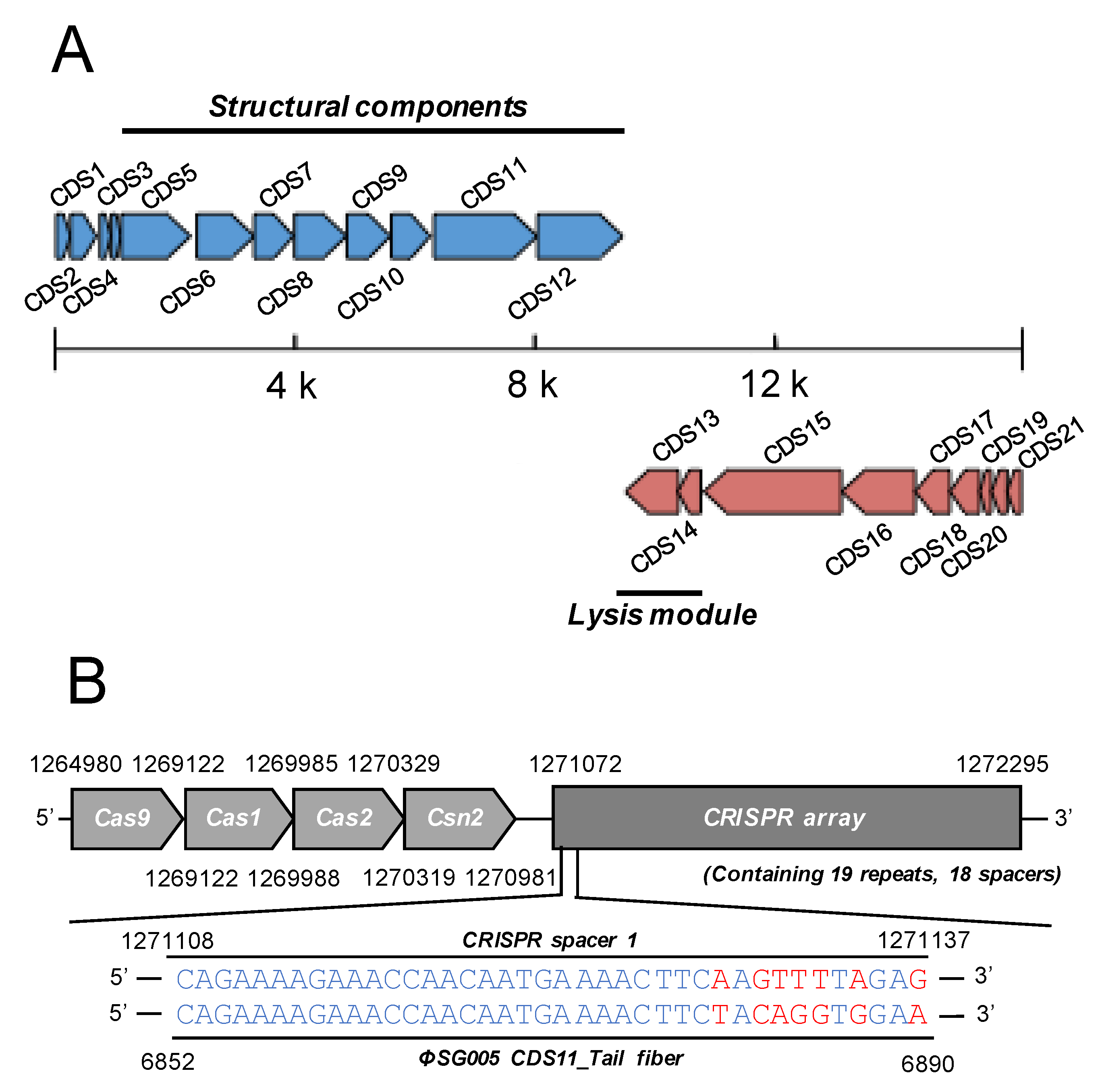 Viruses 13 01964 g003