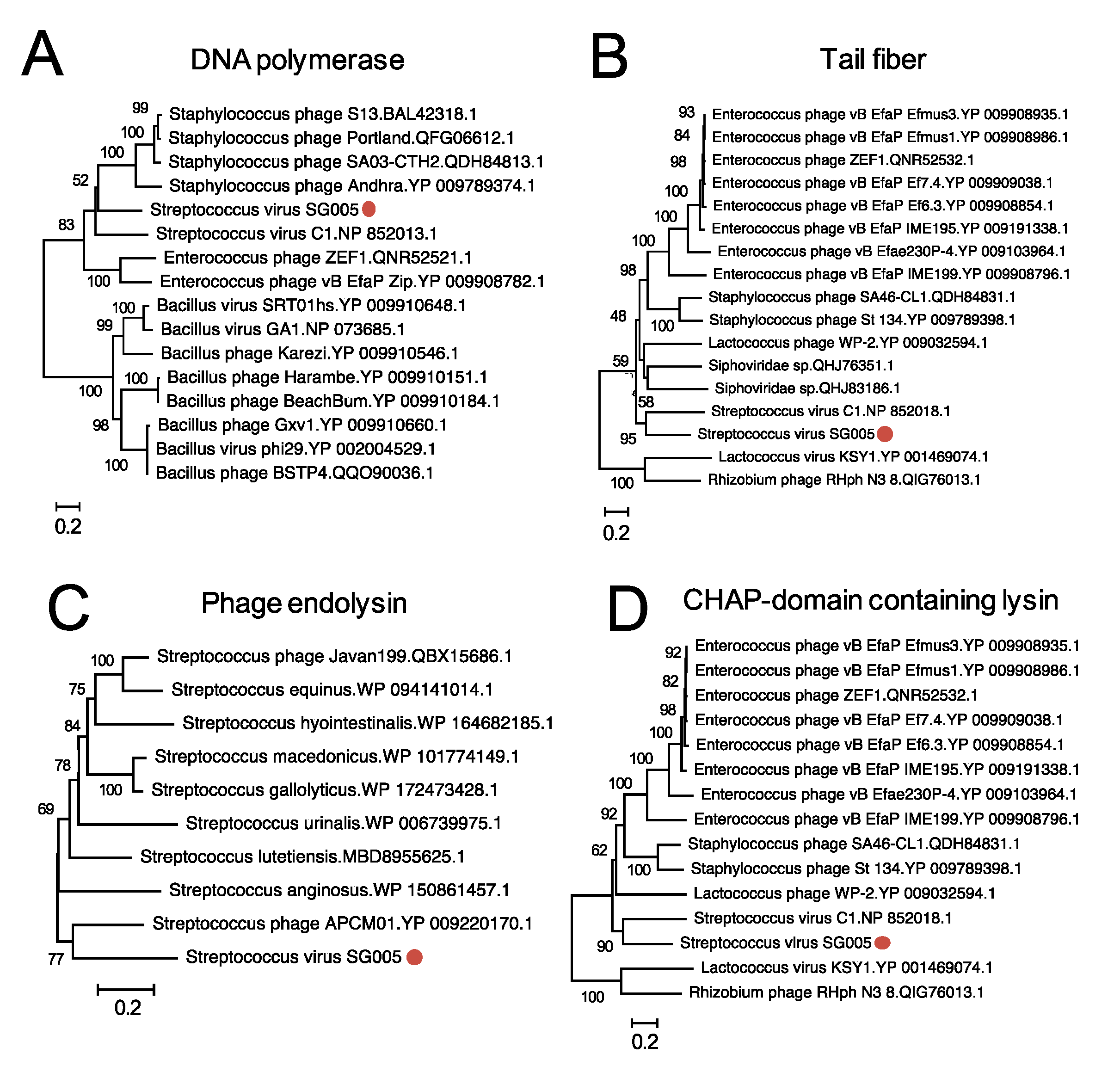 Viruses 13 01964 g005