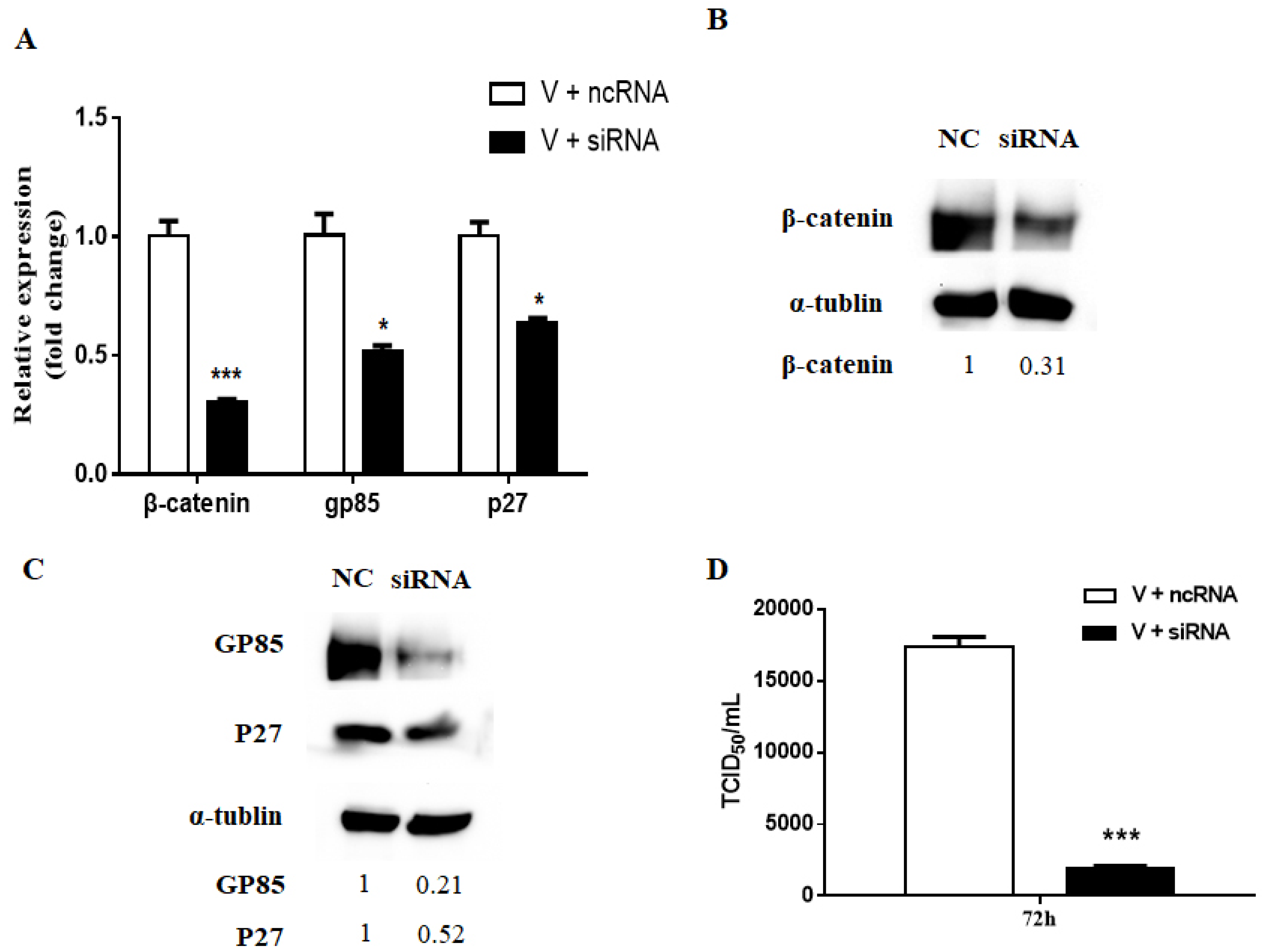 Viruses Free Full Text Regulation Of Avian Leukosis Virus Subgroup J Replication By Wnt B Catenin Signaling Pathway