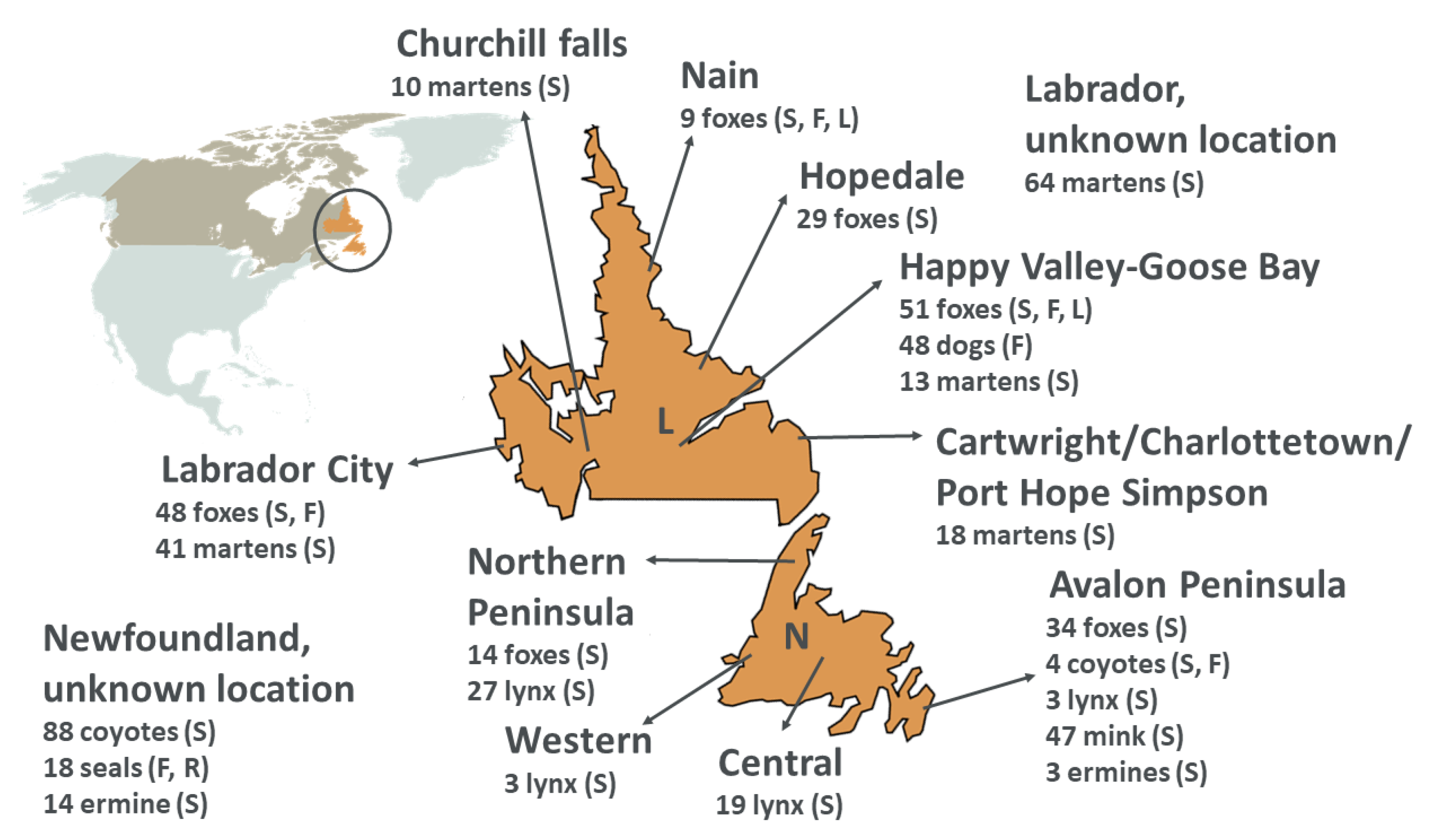 Viruses 13 01969 g001