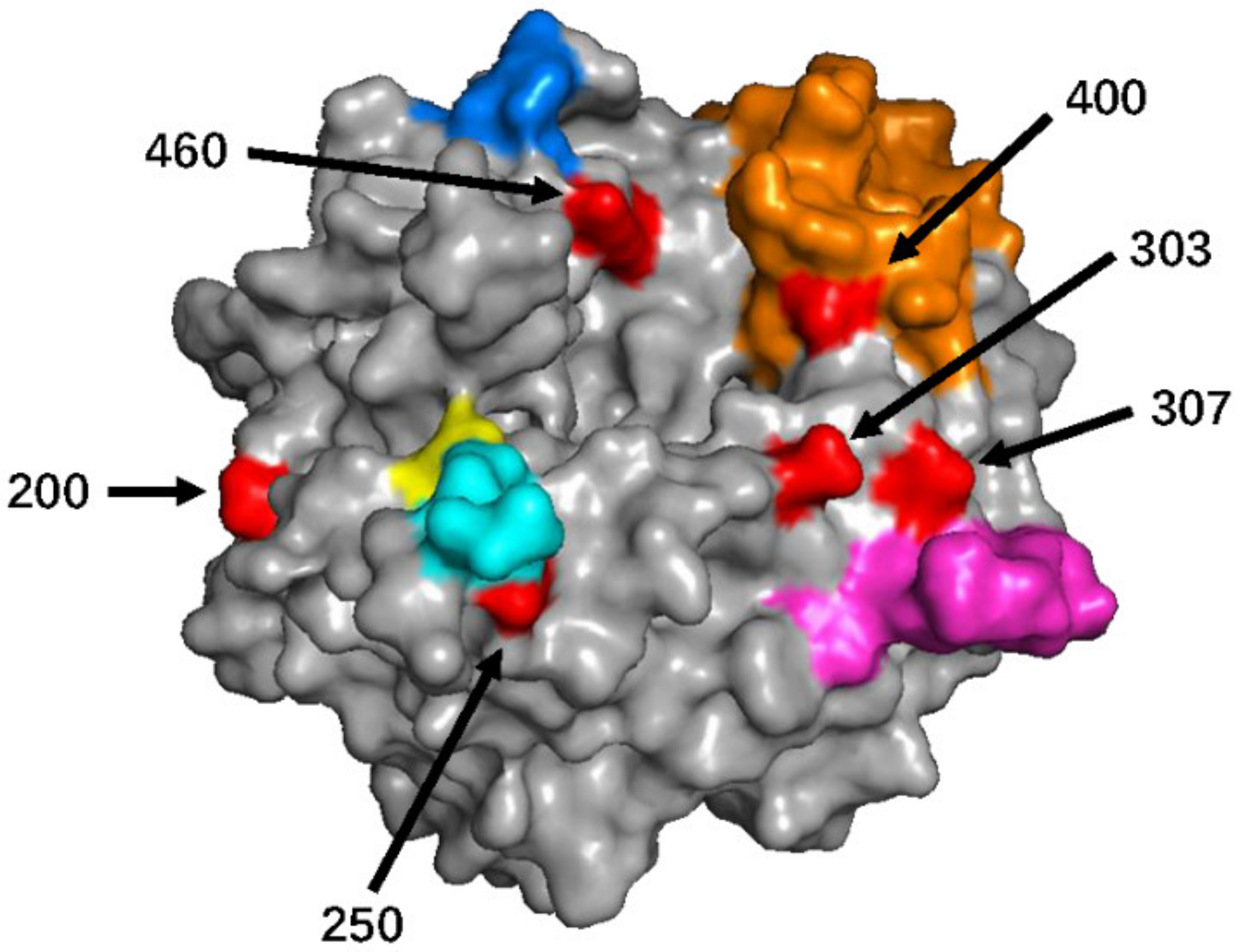 Viruses 13 01970 g002