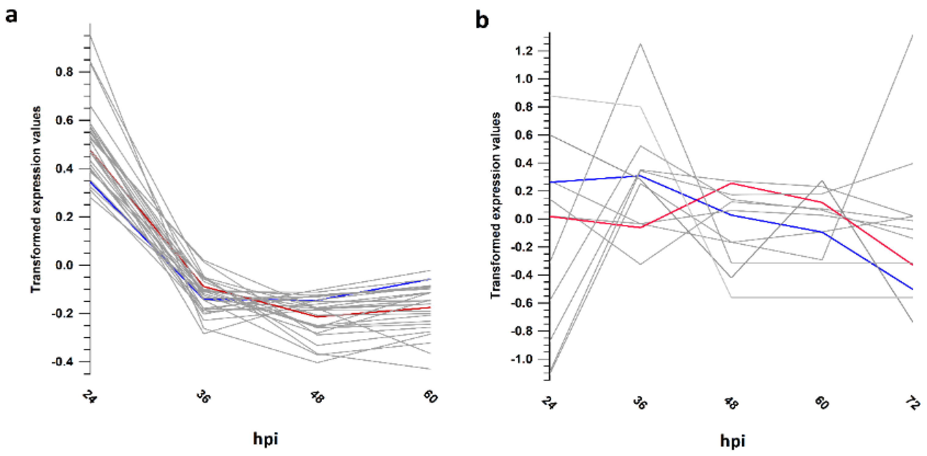Viruses 13 01971 g003