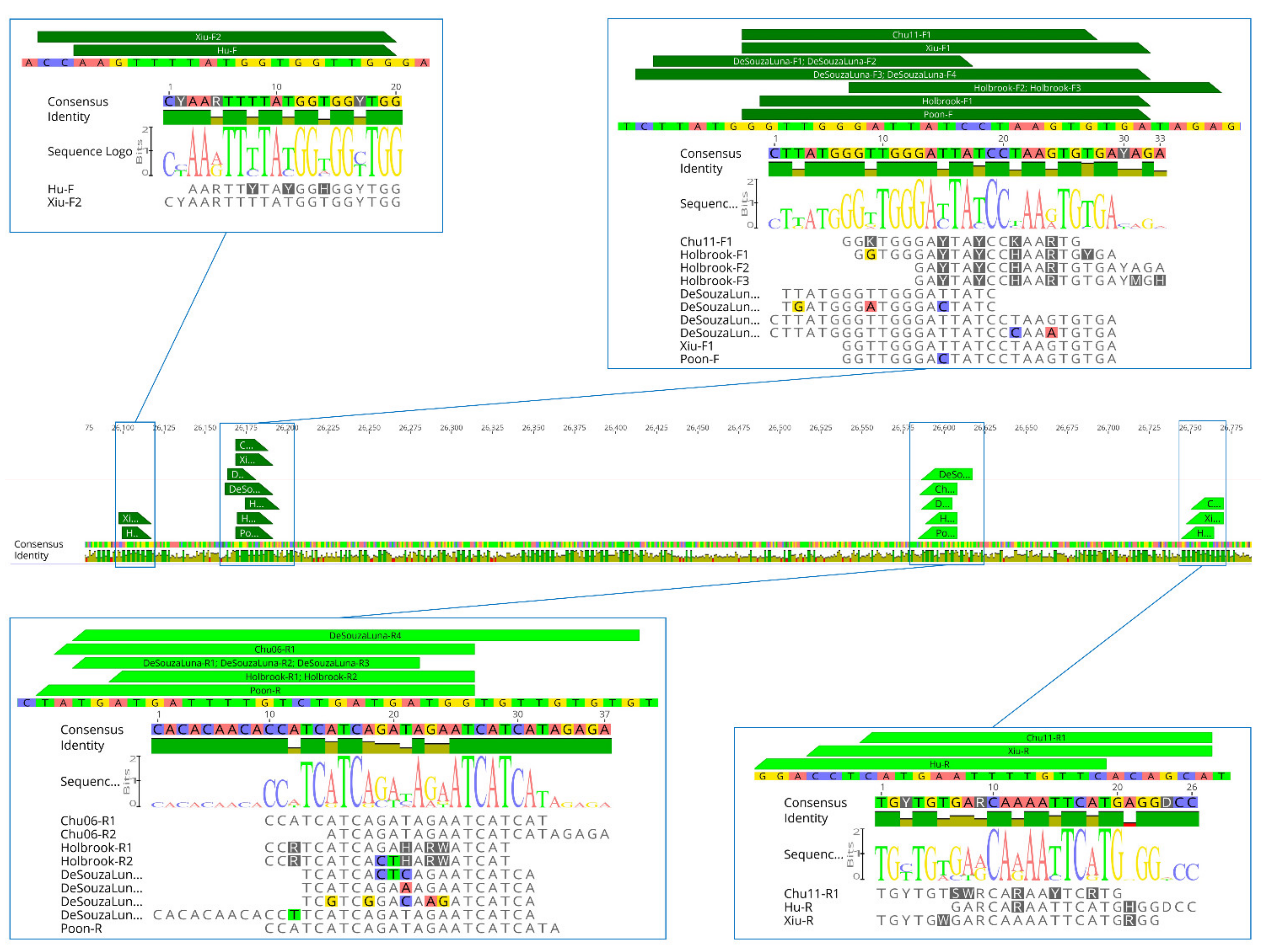 Viruses 13 01975 g002