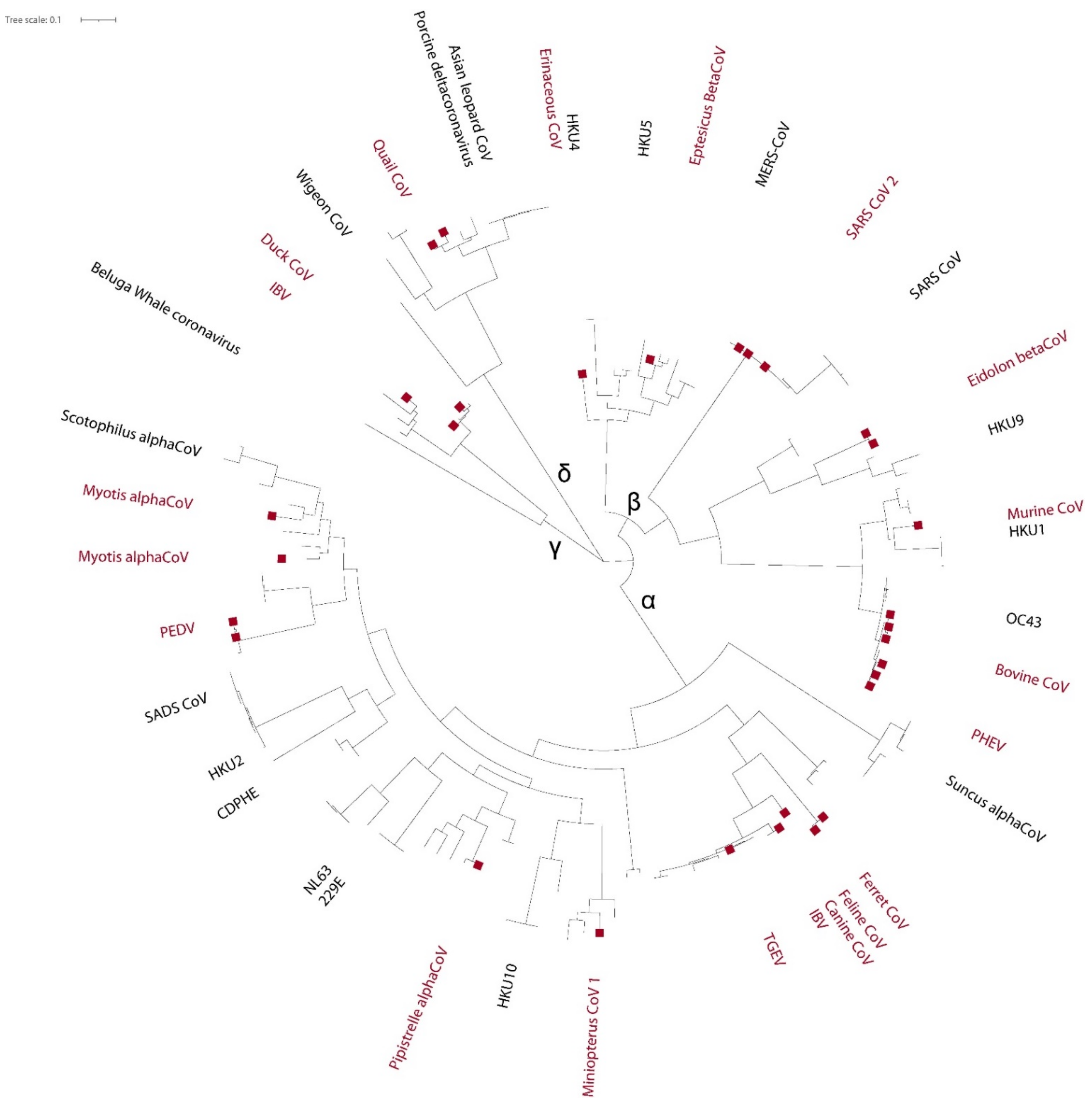 Viruses 13 01975 g004