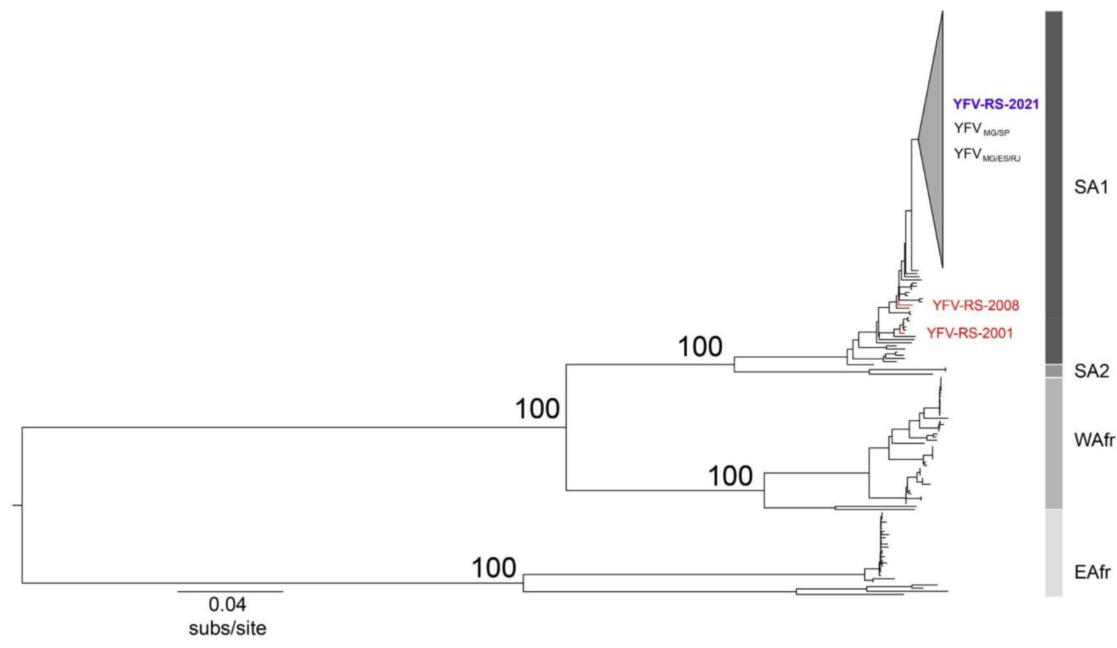 Viruses 13 01976 g002
