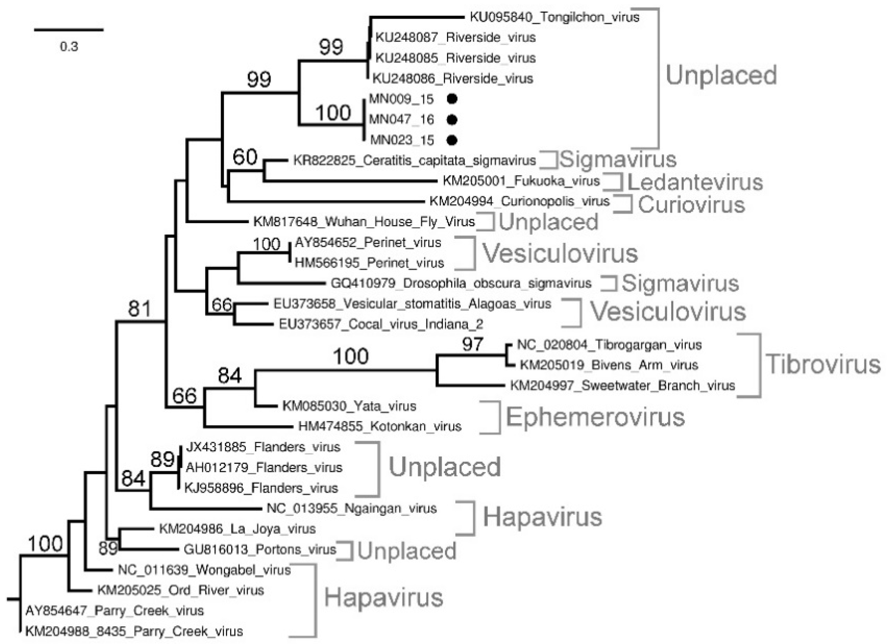 Viruses 13 01978 g005