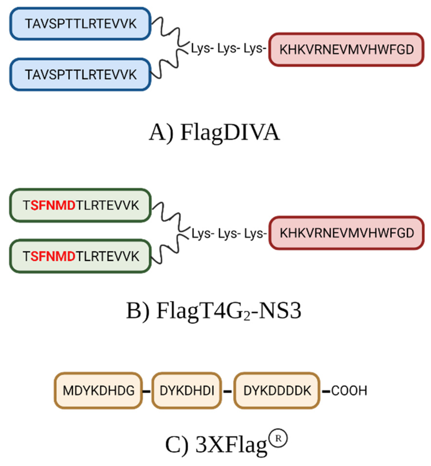 Viruses 13 01980 g001