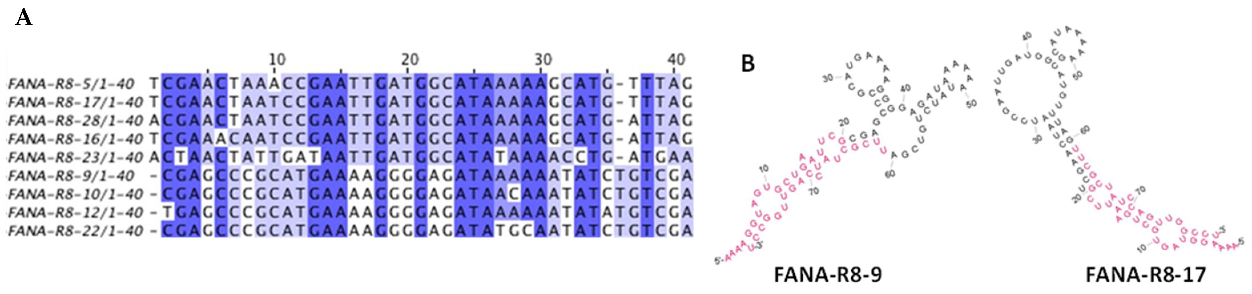 Viruses 13 01983 g002