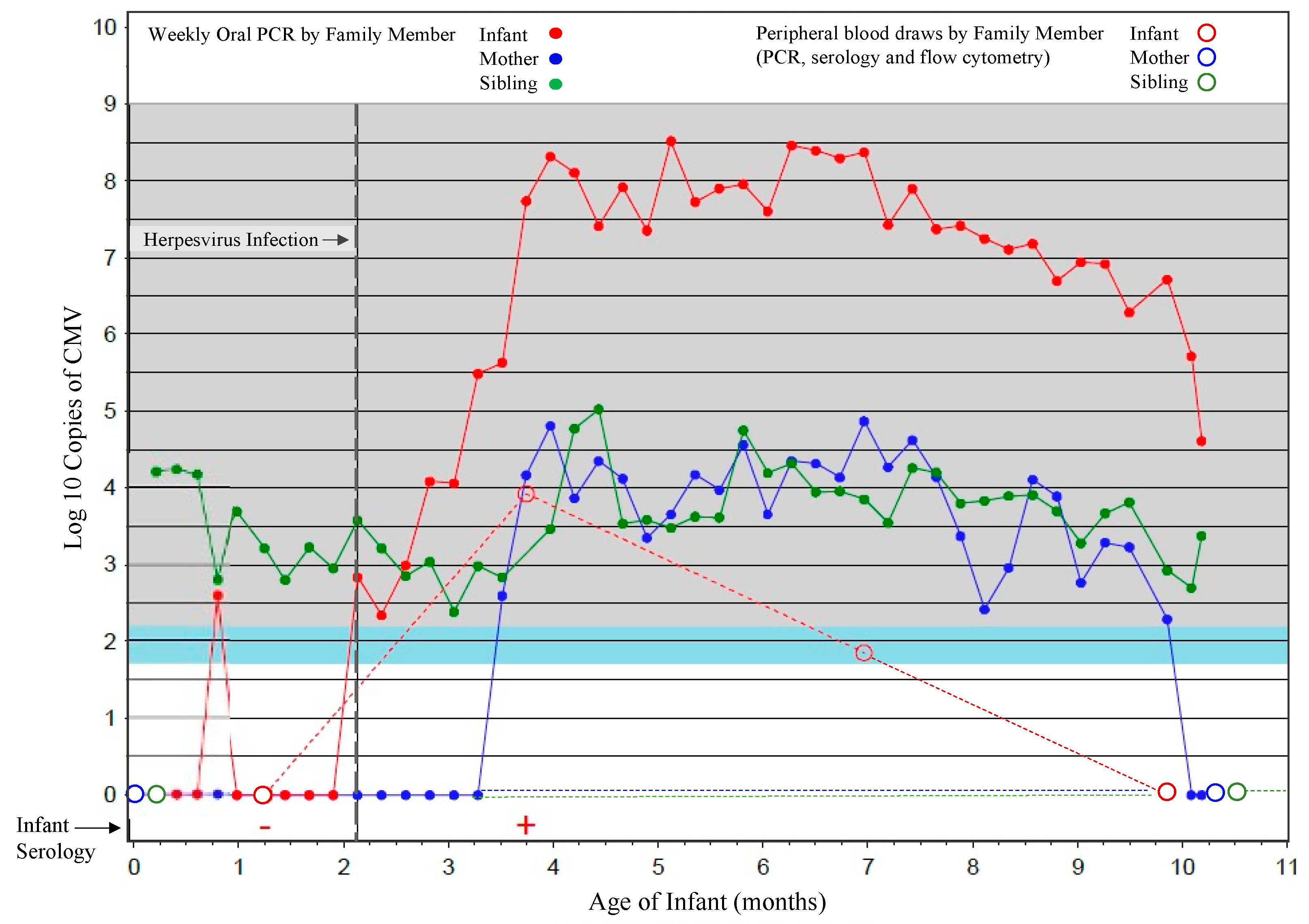 Viruses 13 01987 g001