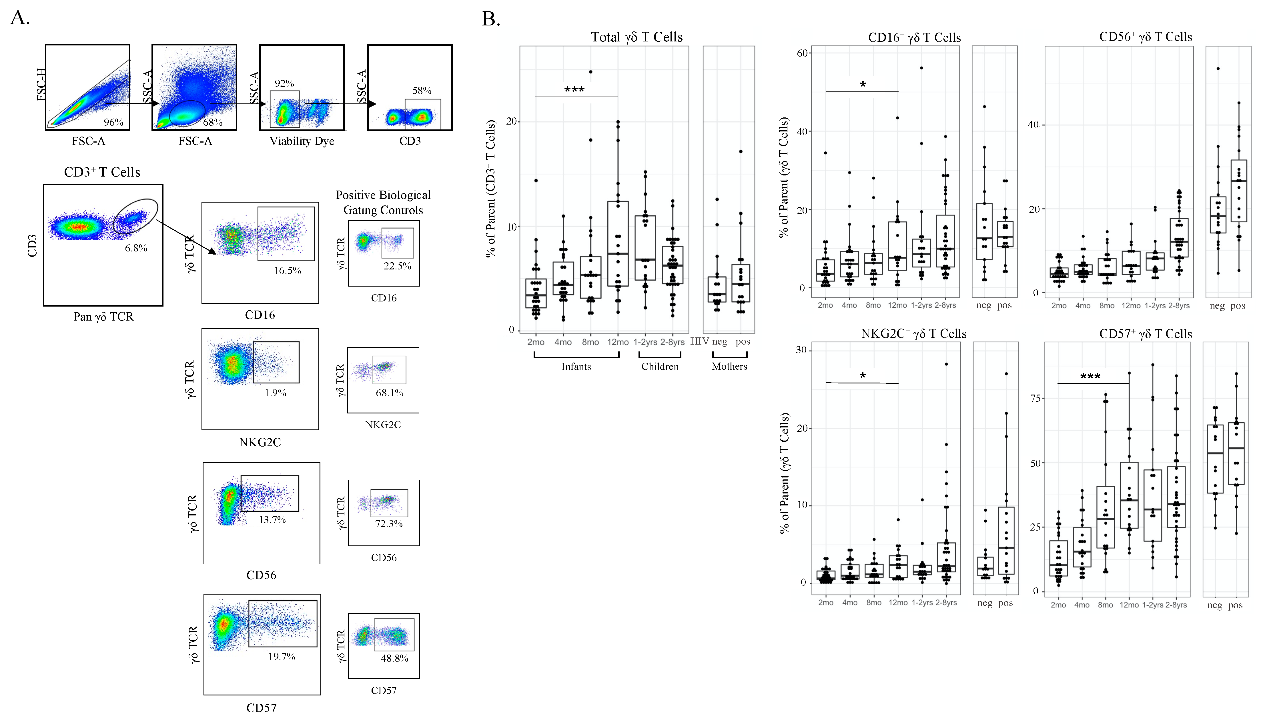 Viruses 13 01987 g002a