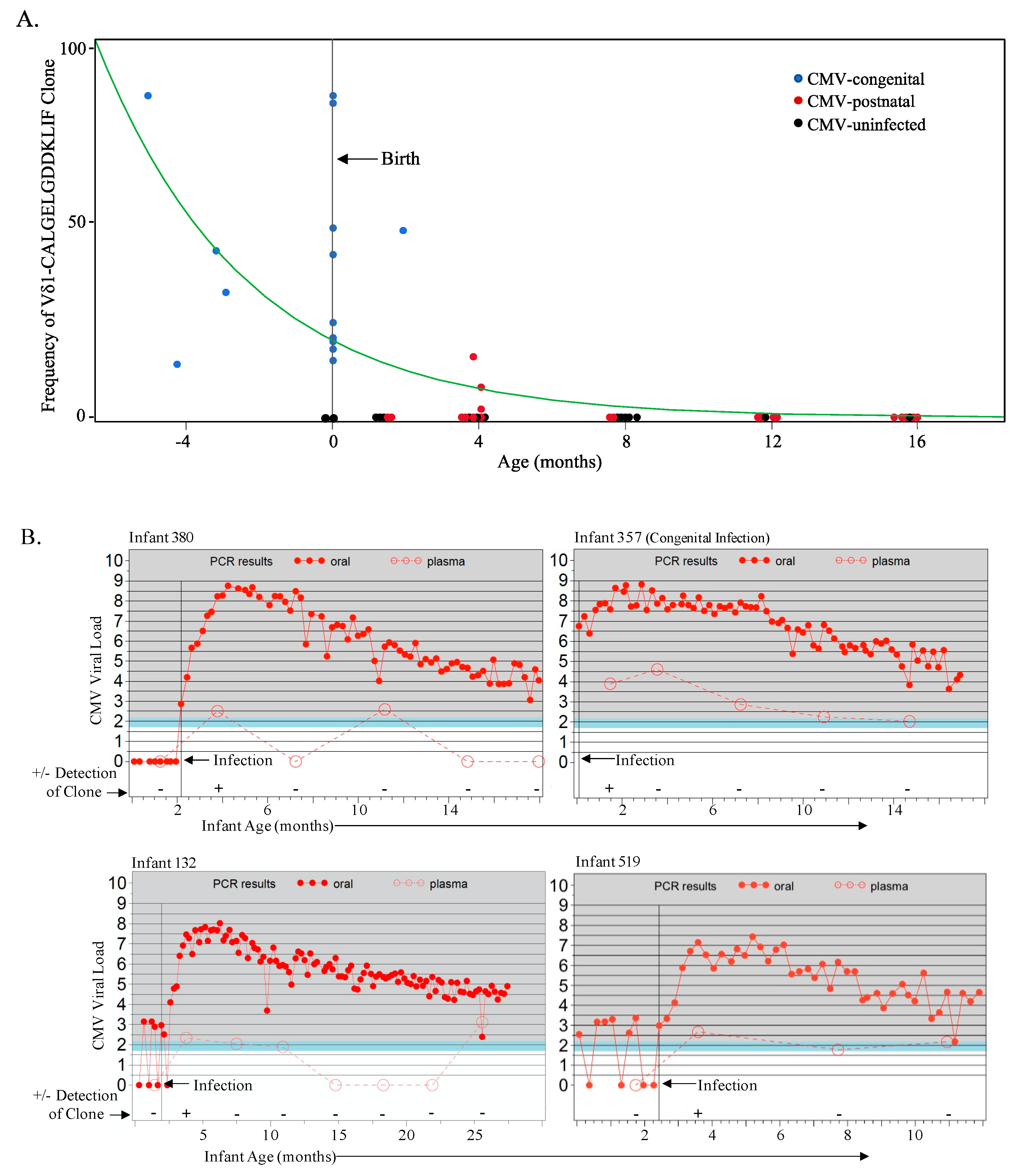 Viruses 13 01987 g003