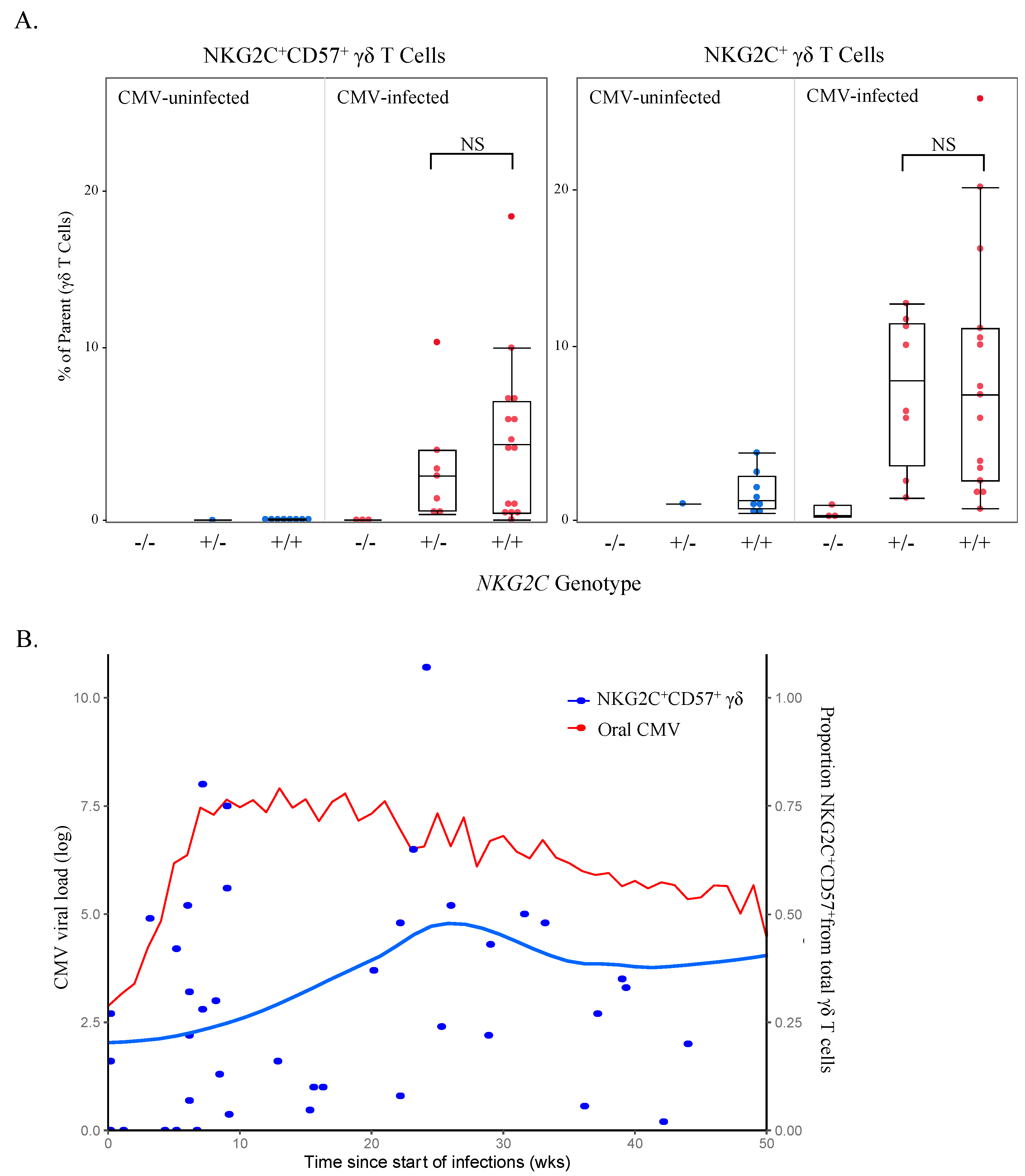 Viruses 13 01987 g008