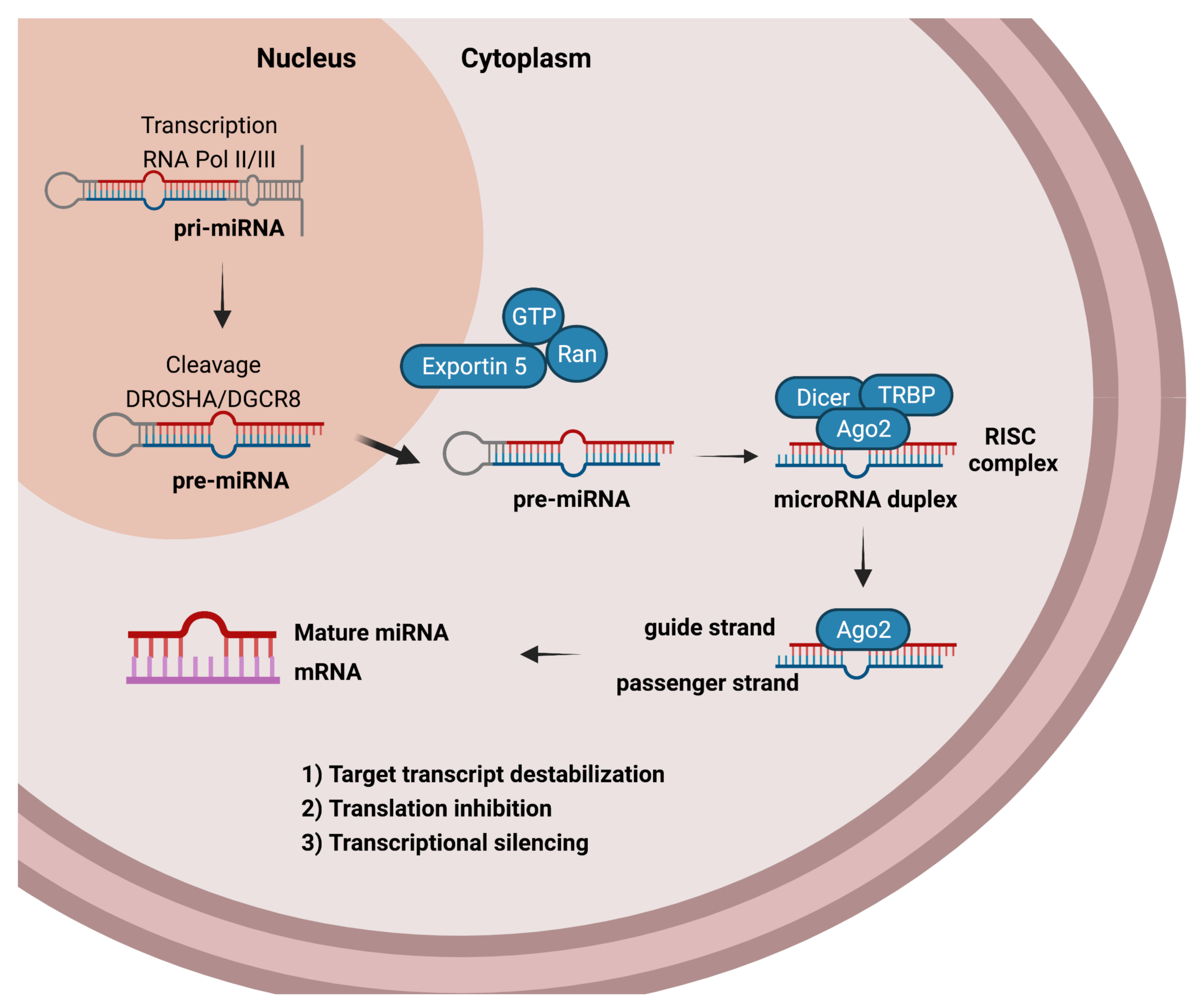 Viruses 13 01992 g001