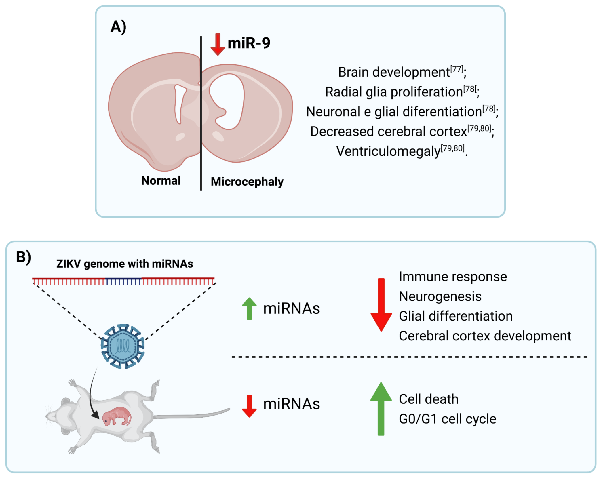 Viruses 13 01992 g002