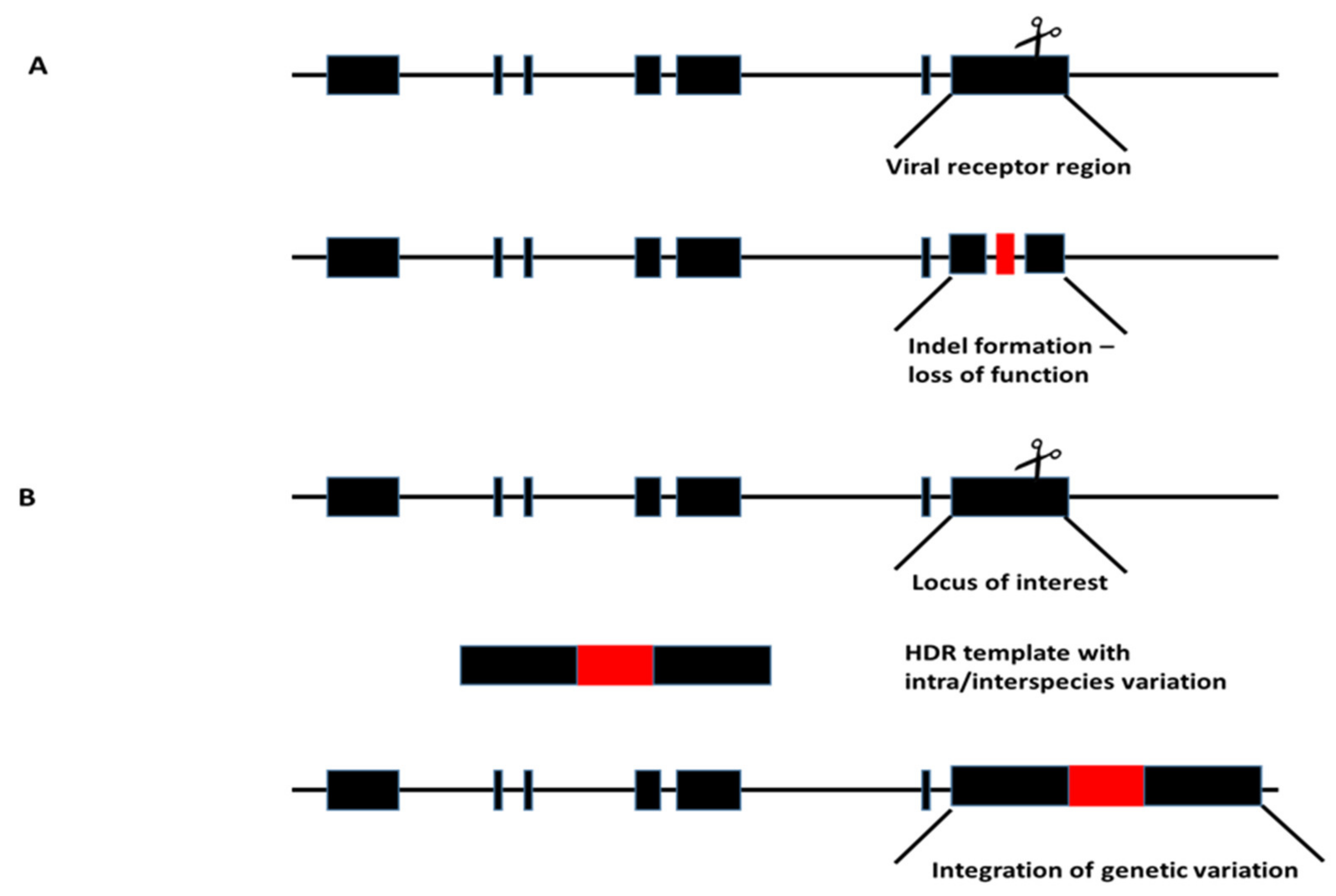 Viruses 13 01996 g003