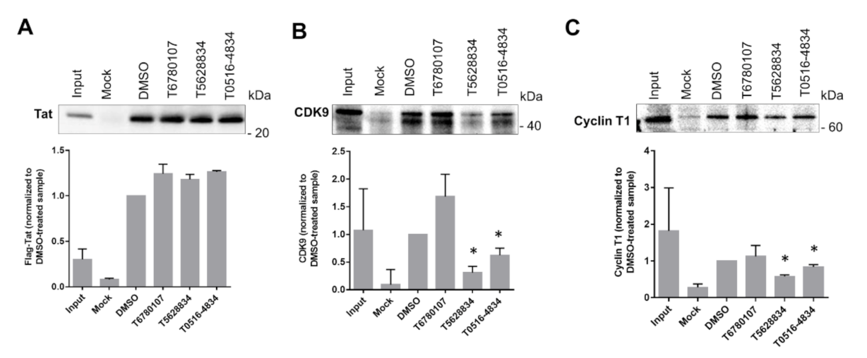 Viruses 13 02004 g005