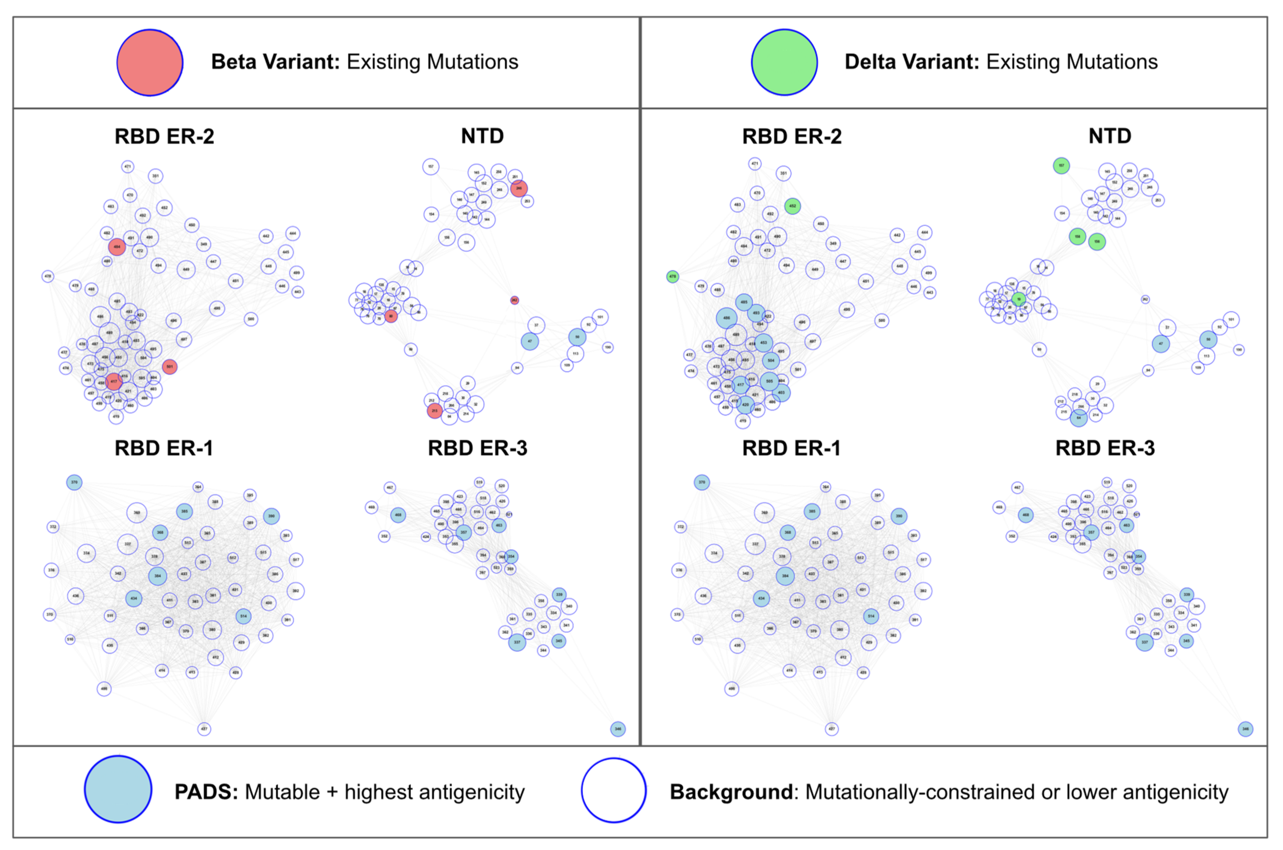 Viruses 13 02009 g004