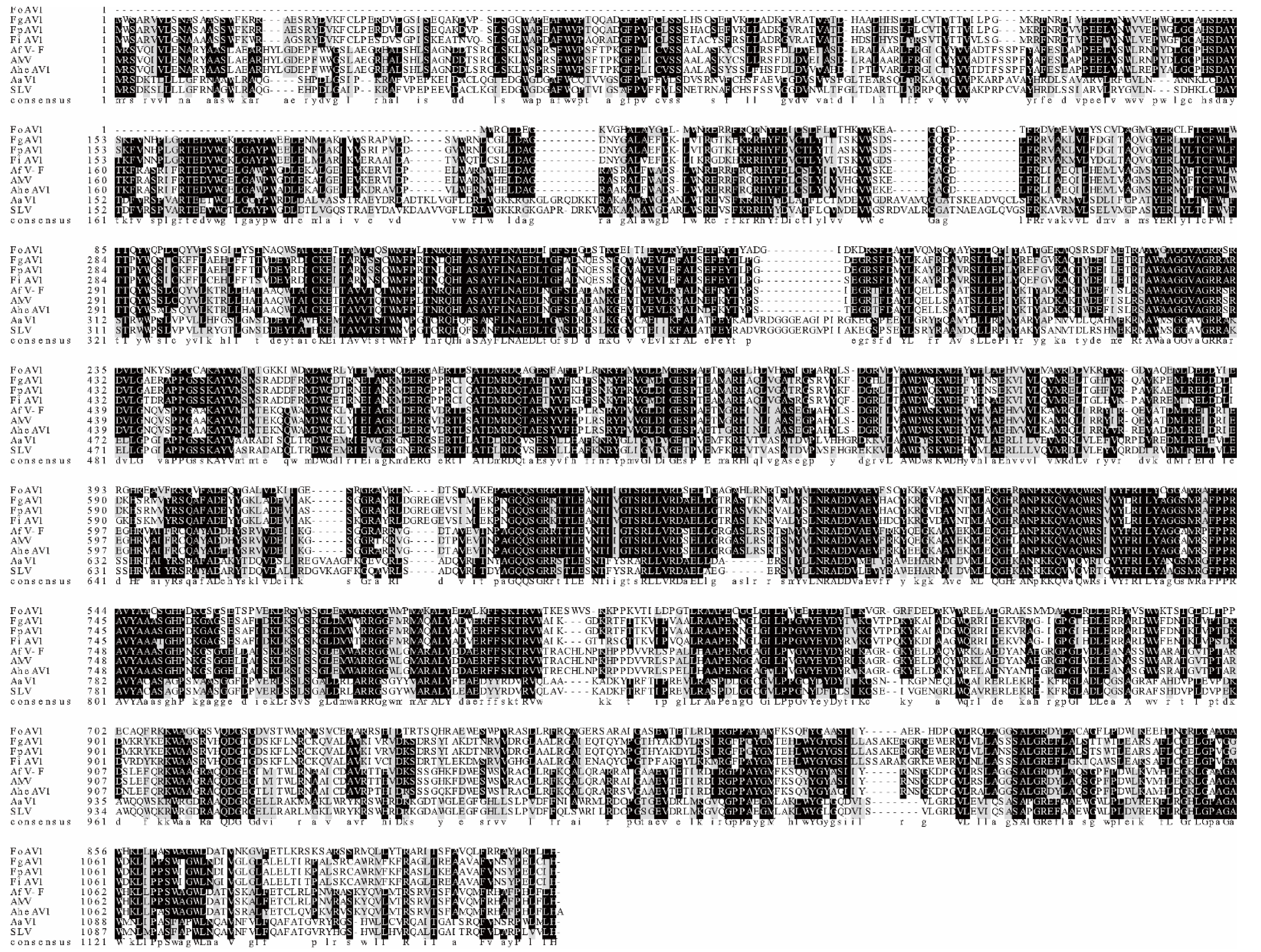 Viruses 13 02026 g003 550