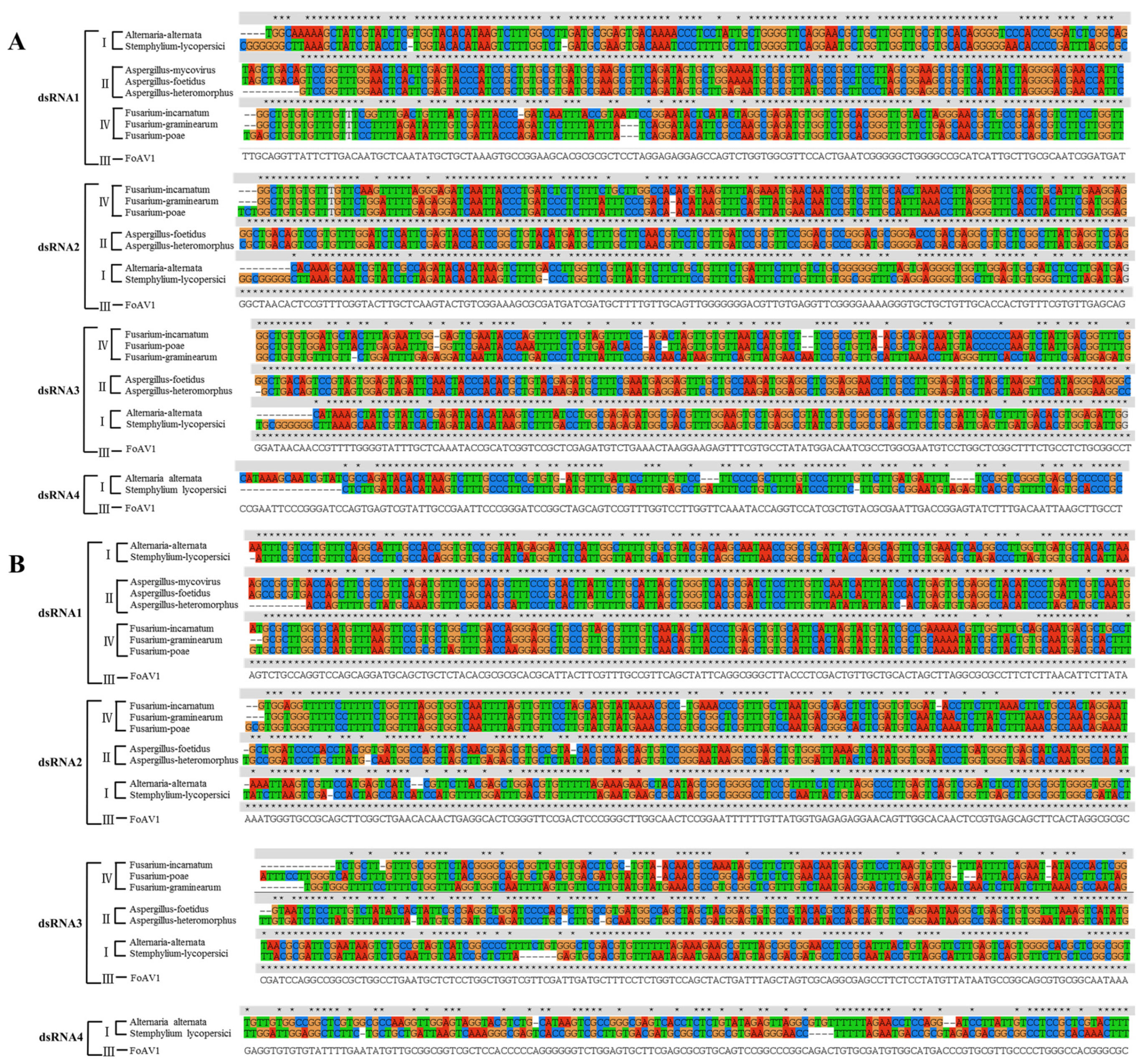 Viruses 13 02026 g005 550