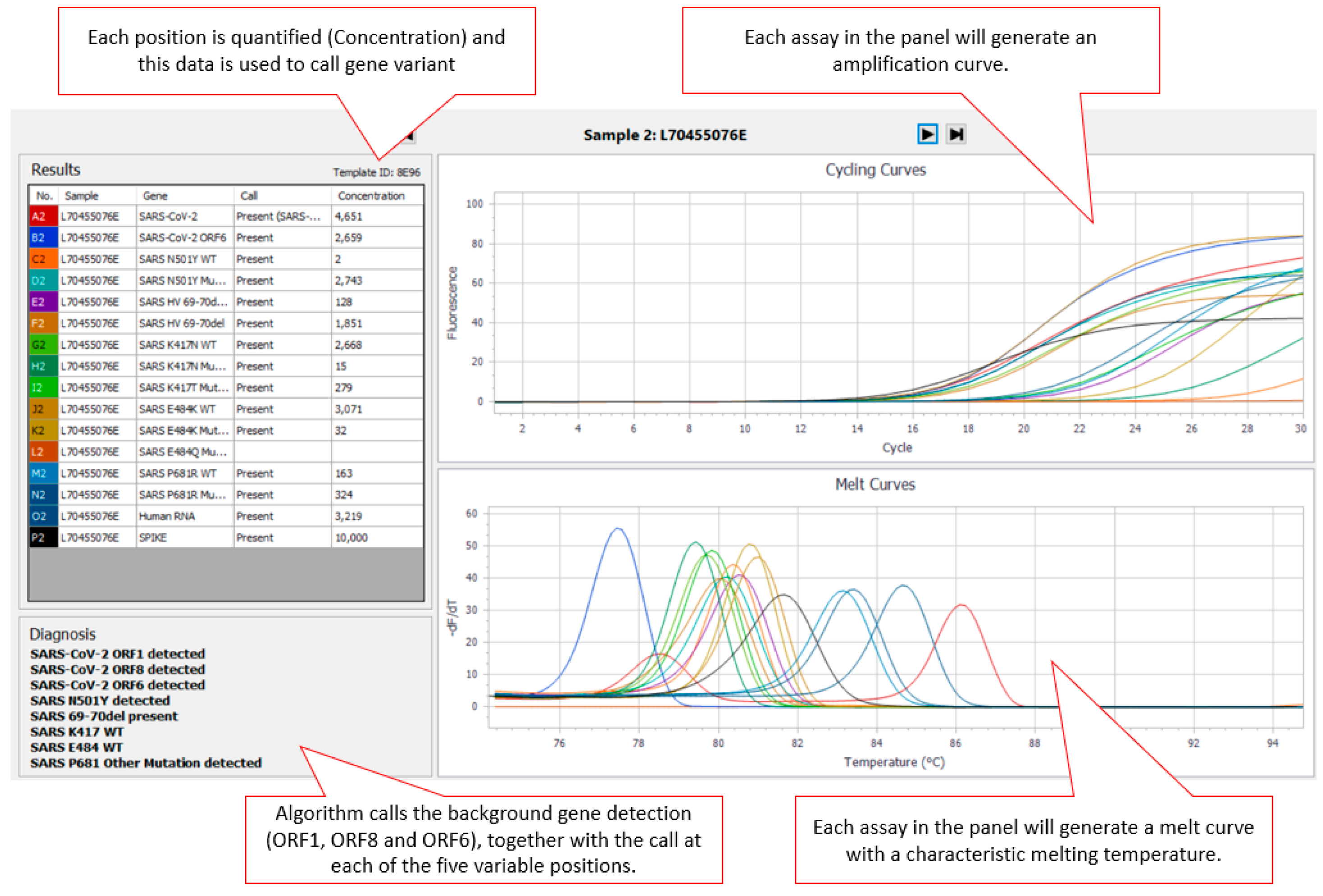 Viruses 13 02028 g001