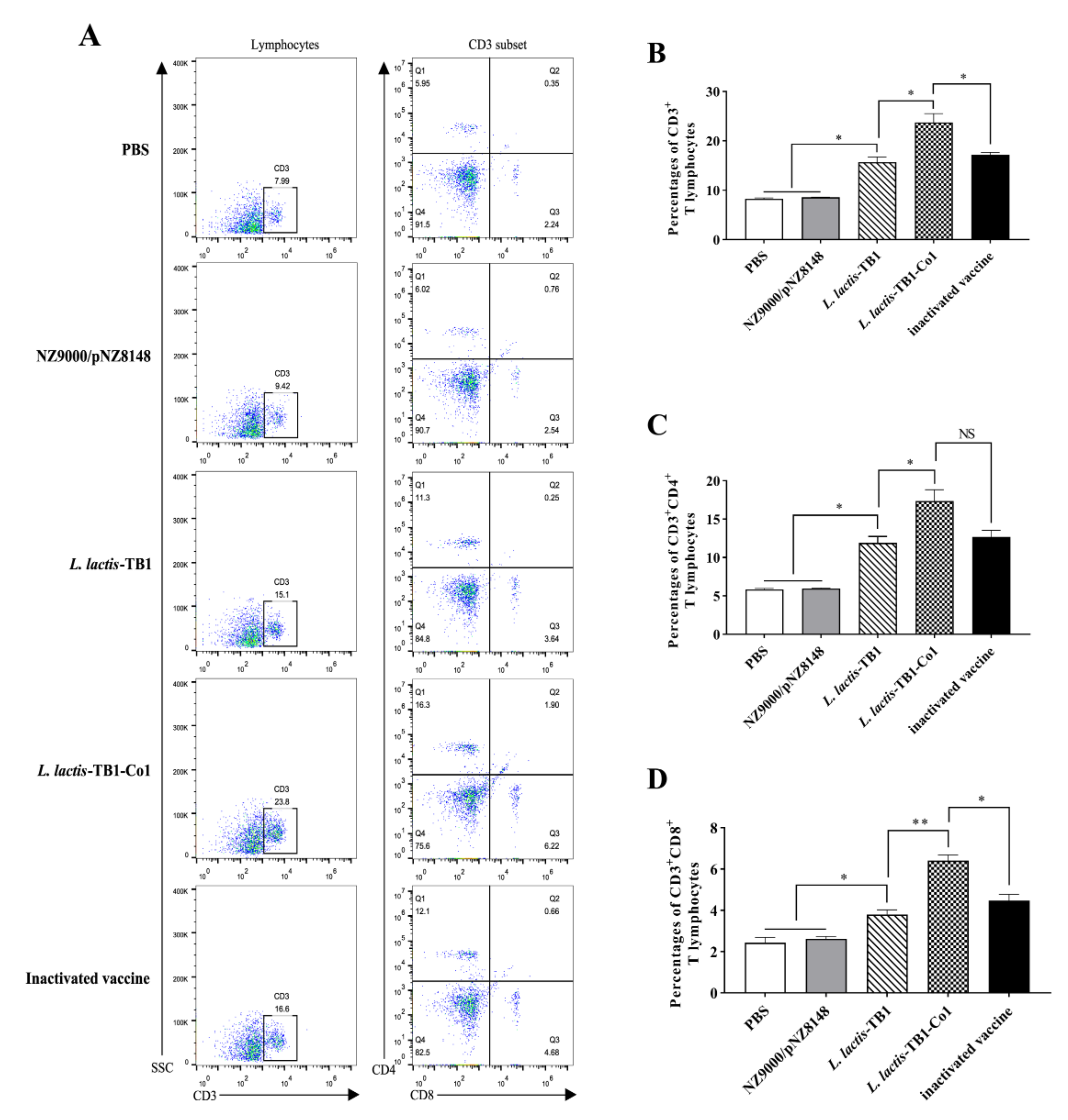 Viruses 13 02036 g004
