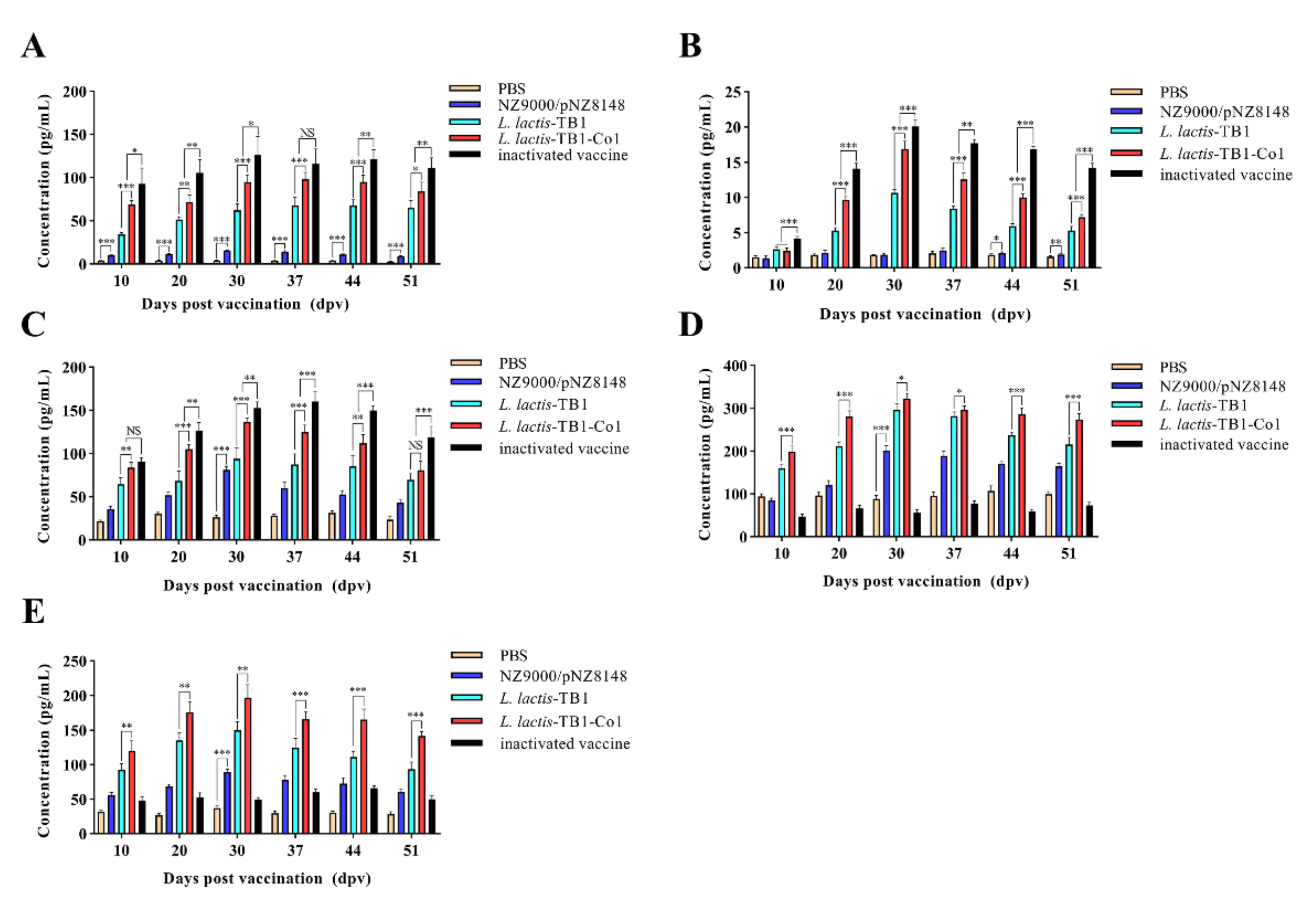 Viruses 13 02036 g006