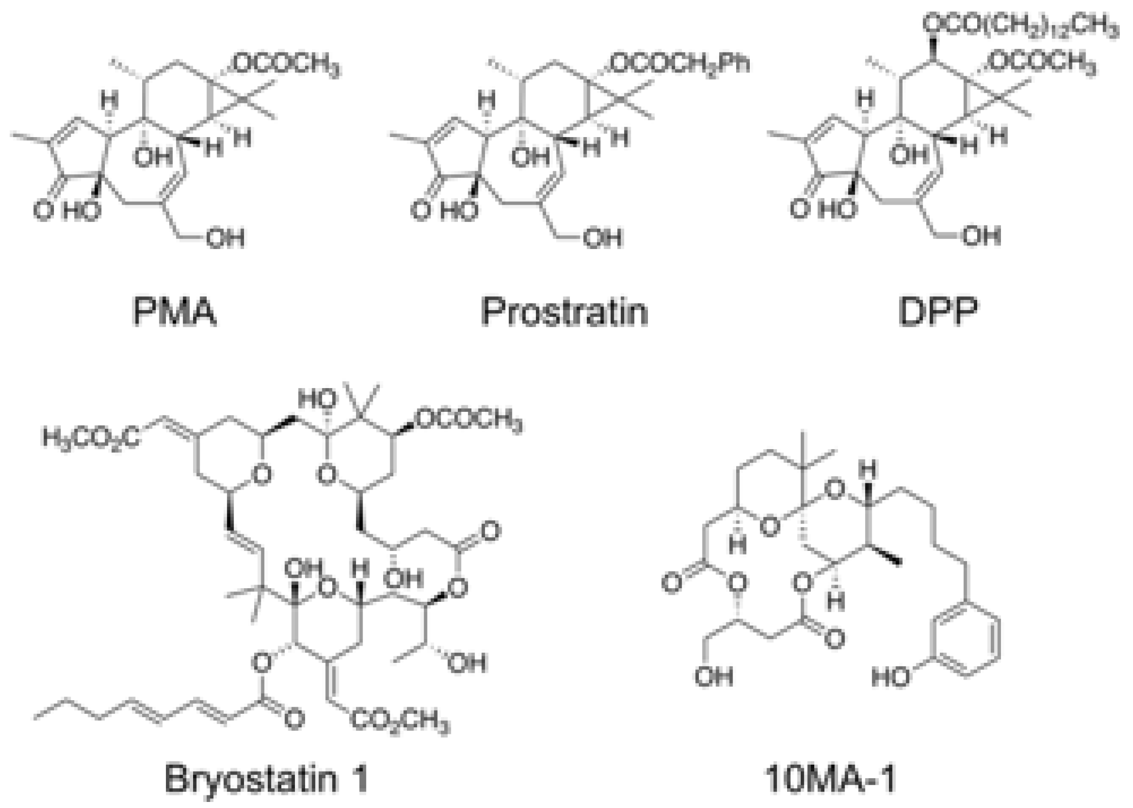 Viruses 13 02037 g001